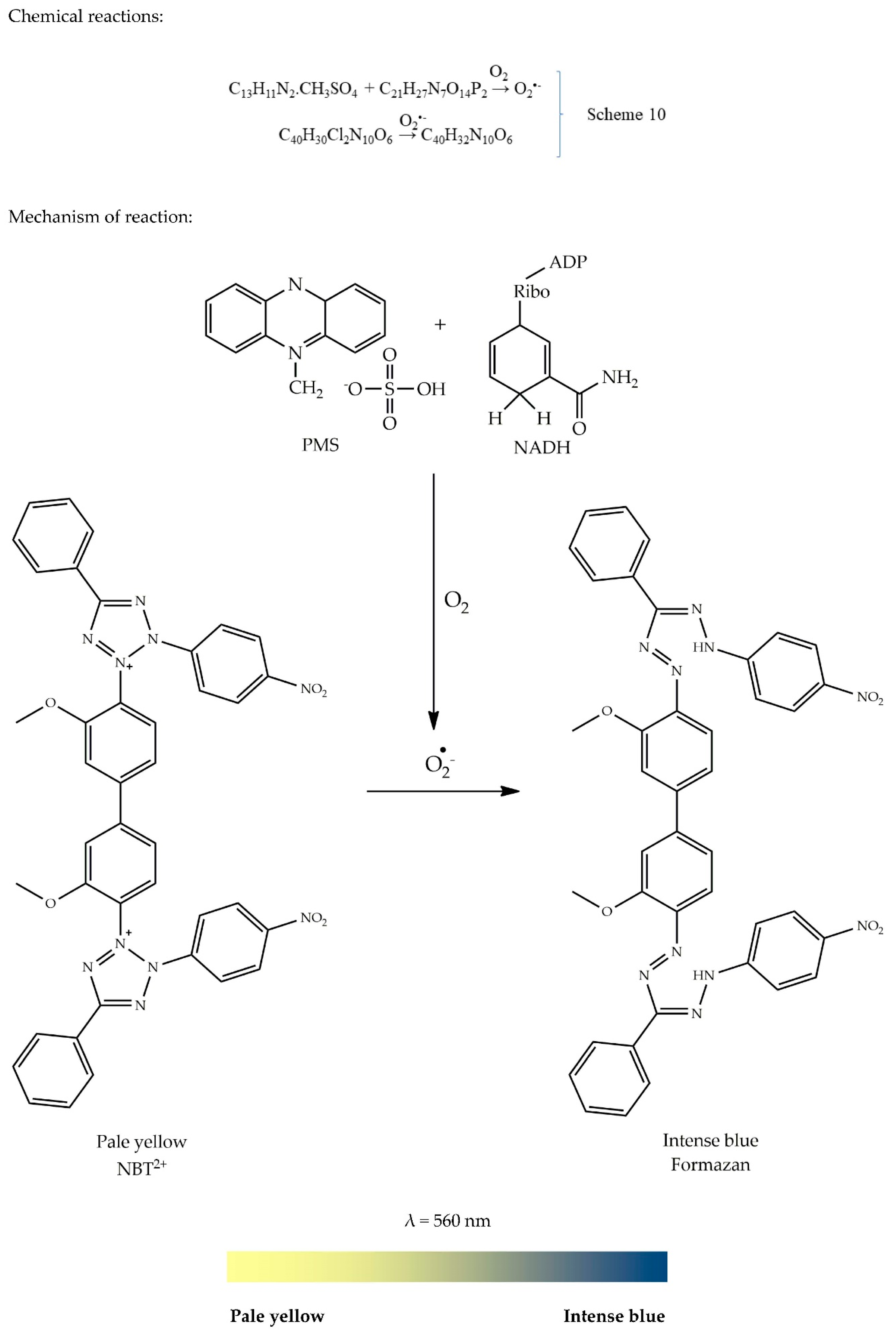 Antioxidants 09 00709 g009
