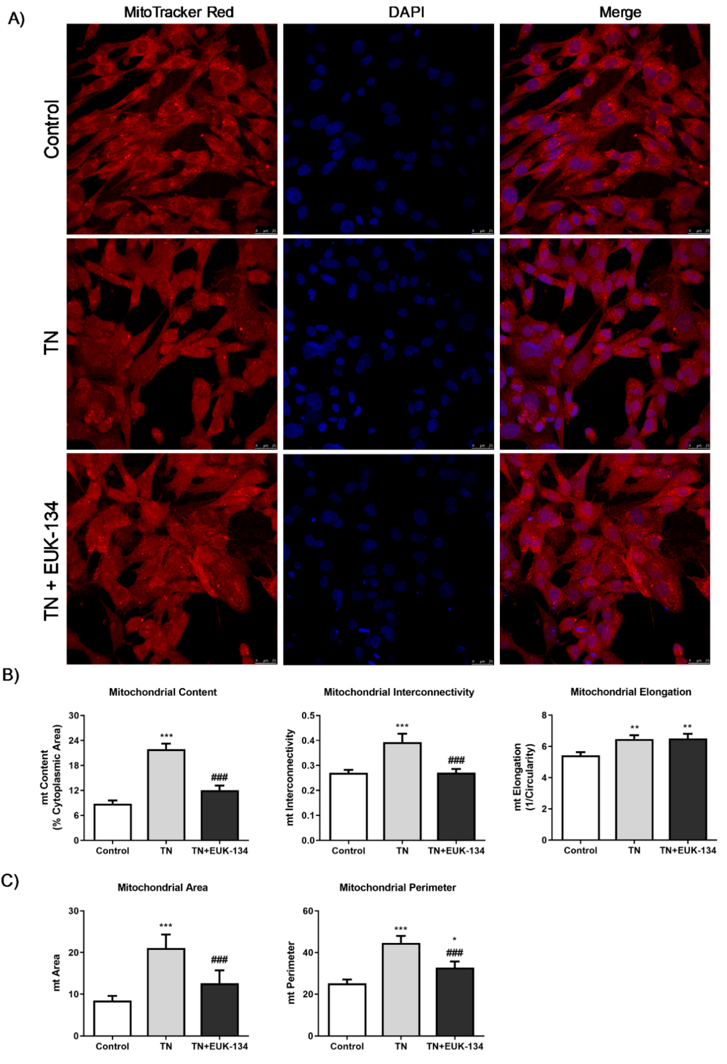 Antioxidants 09 00710 g005 Antioxidants 09 00710 g005