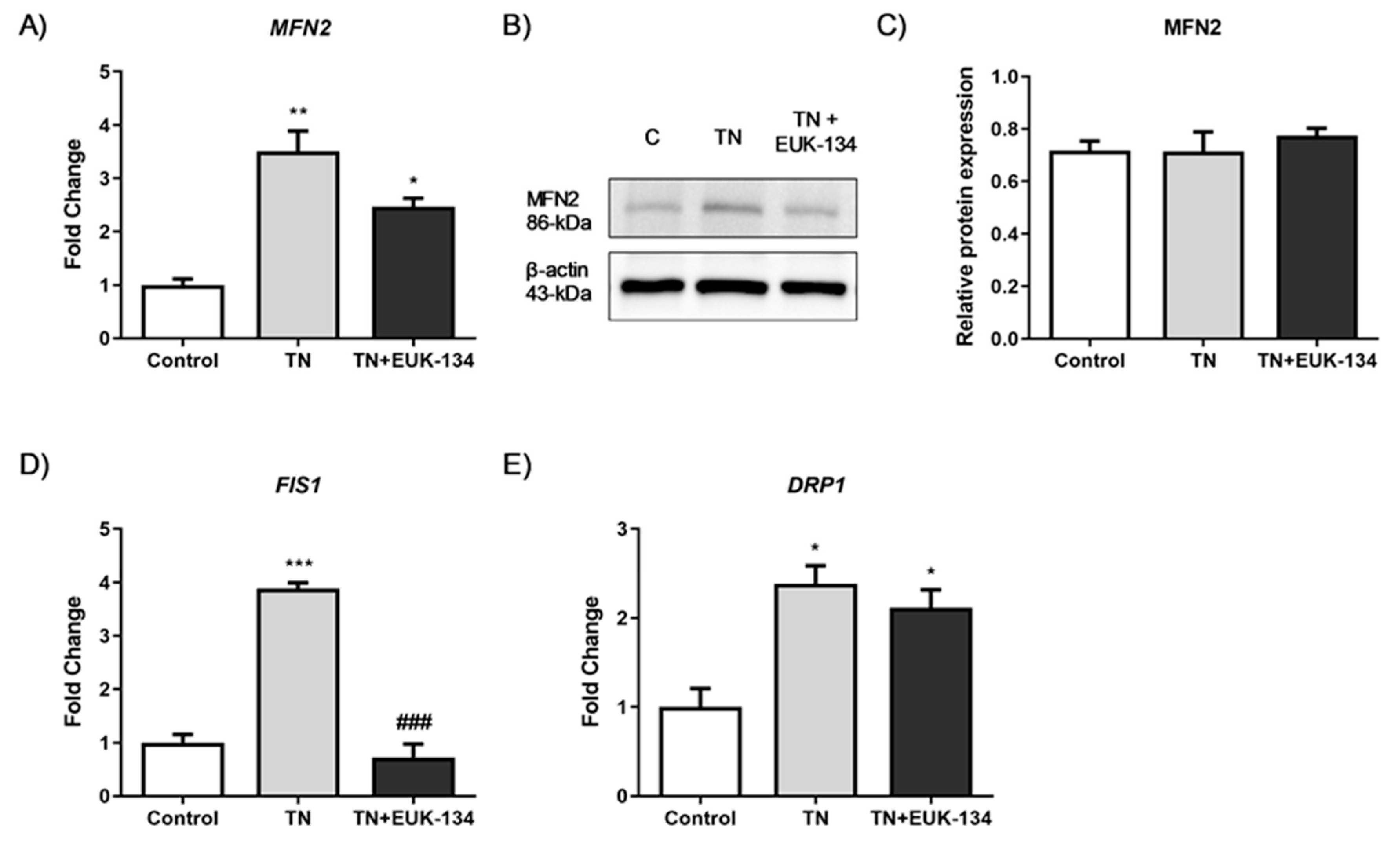 Antioxidants 09 00710 g006 Antioxidants 09 00710 g006