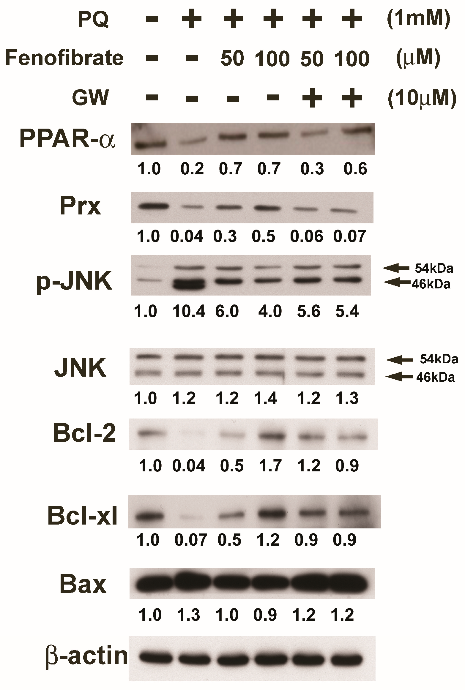Antioxidants 09 00712 g006 Antioxidants 09 00712 g006