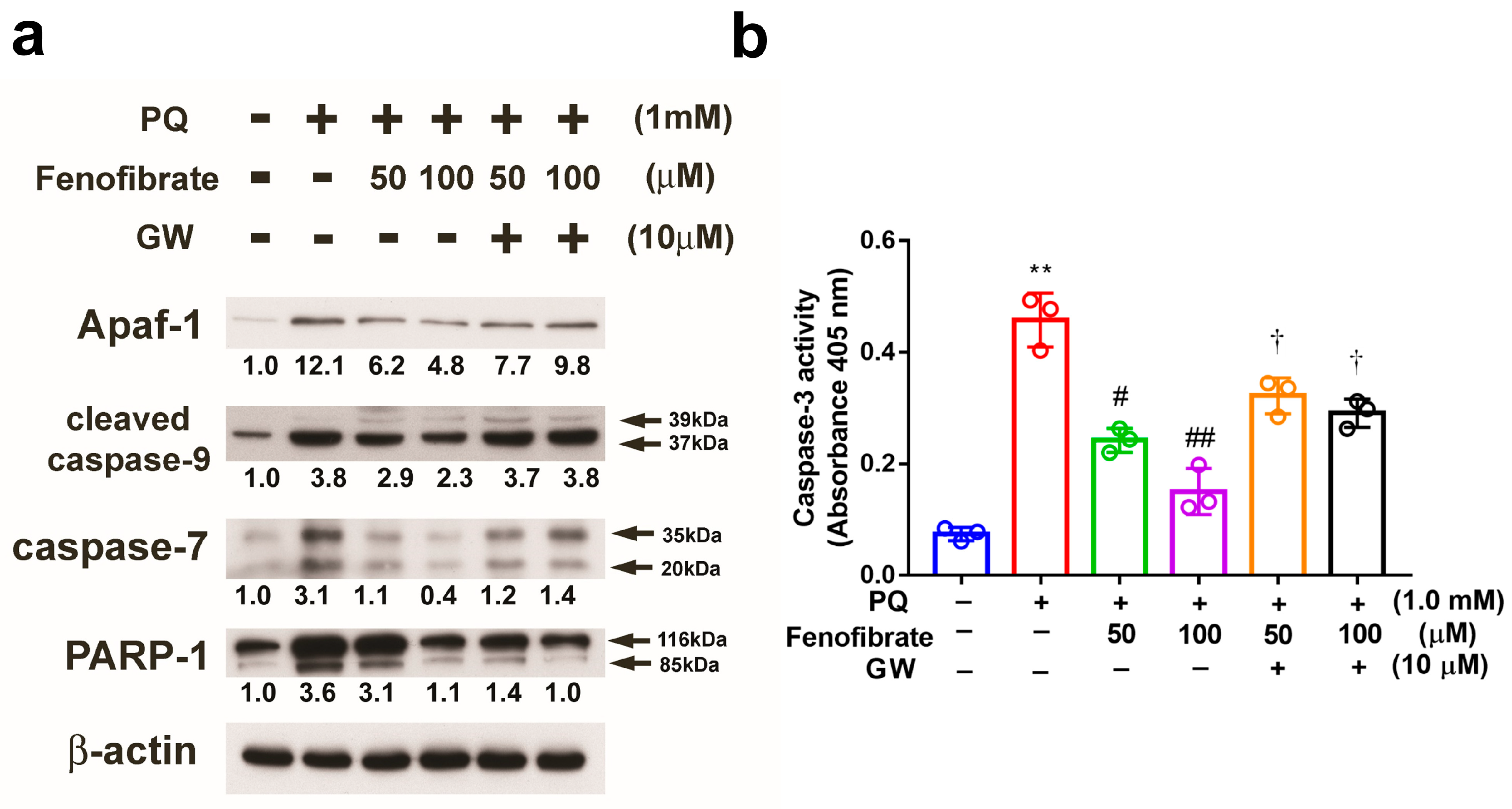 Antioxidants 09 00712 g008 Antioxidants 09 00712 g008