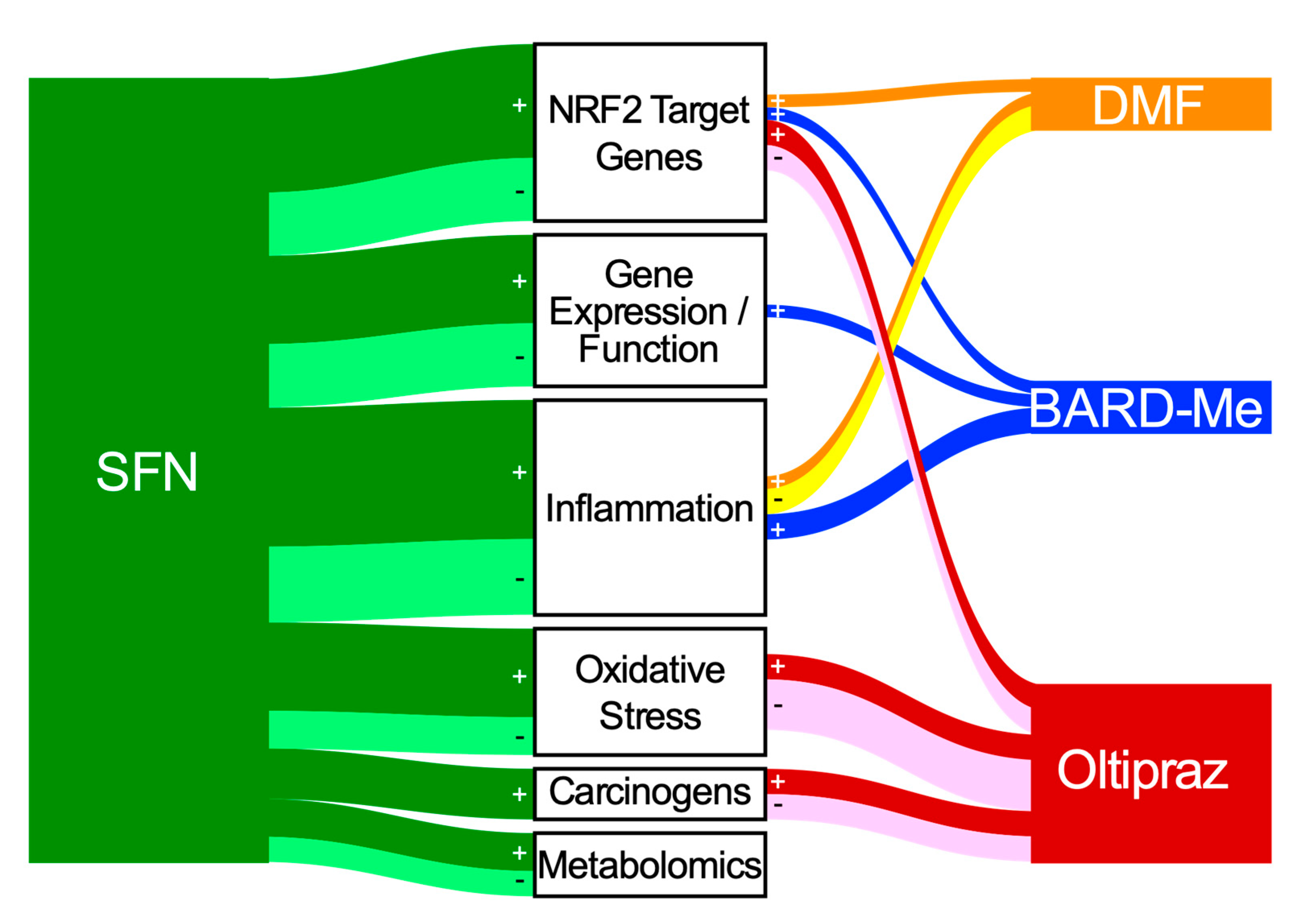 Antioxidants 09 00716 g005