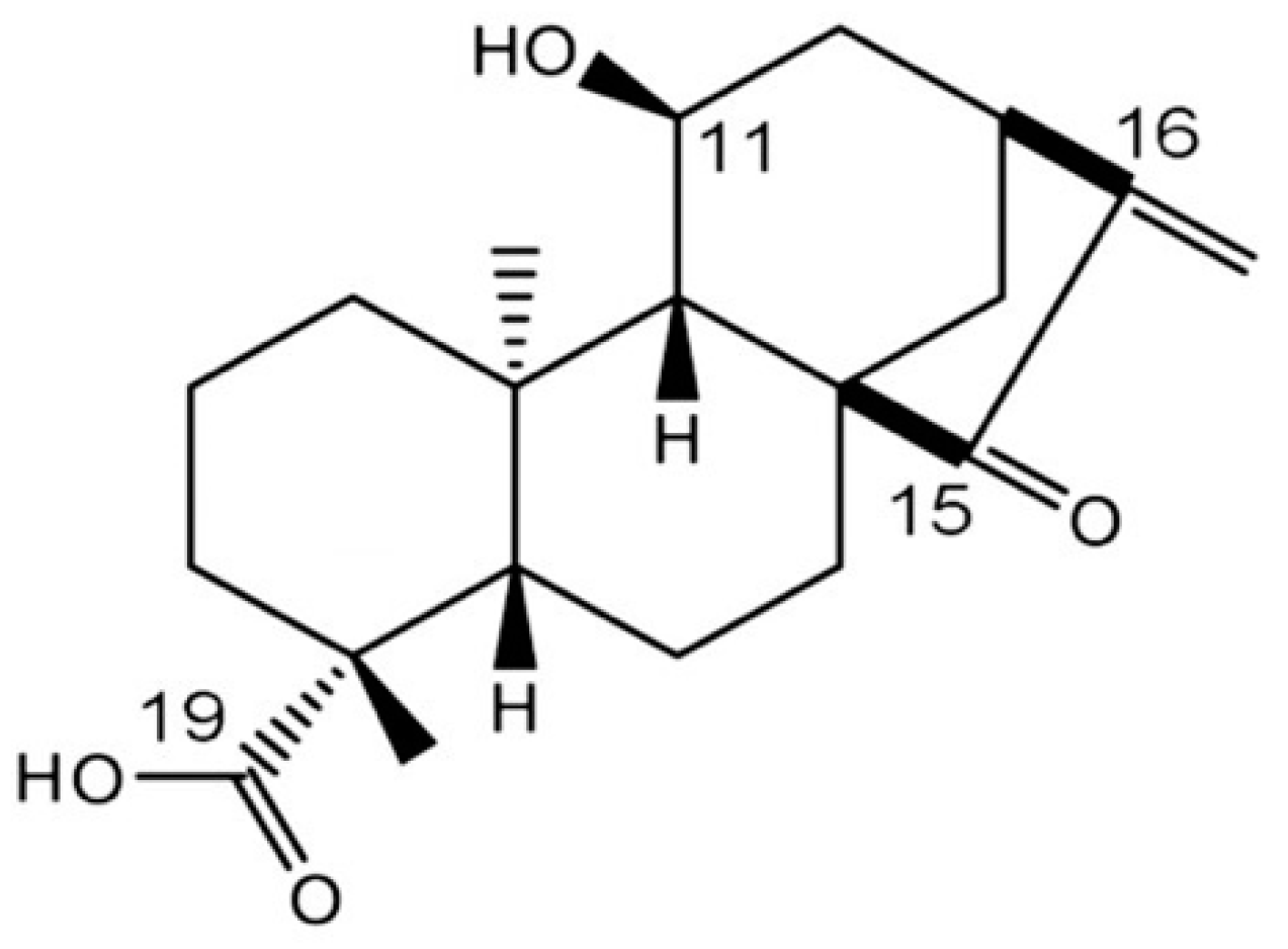 Antioxidants 09 00719 g001 Antioxidants 09 00719 g001