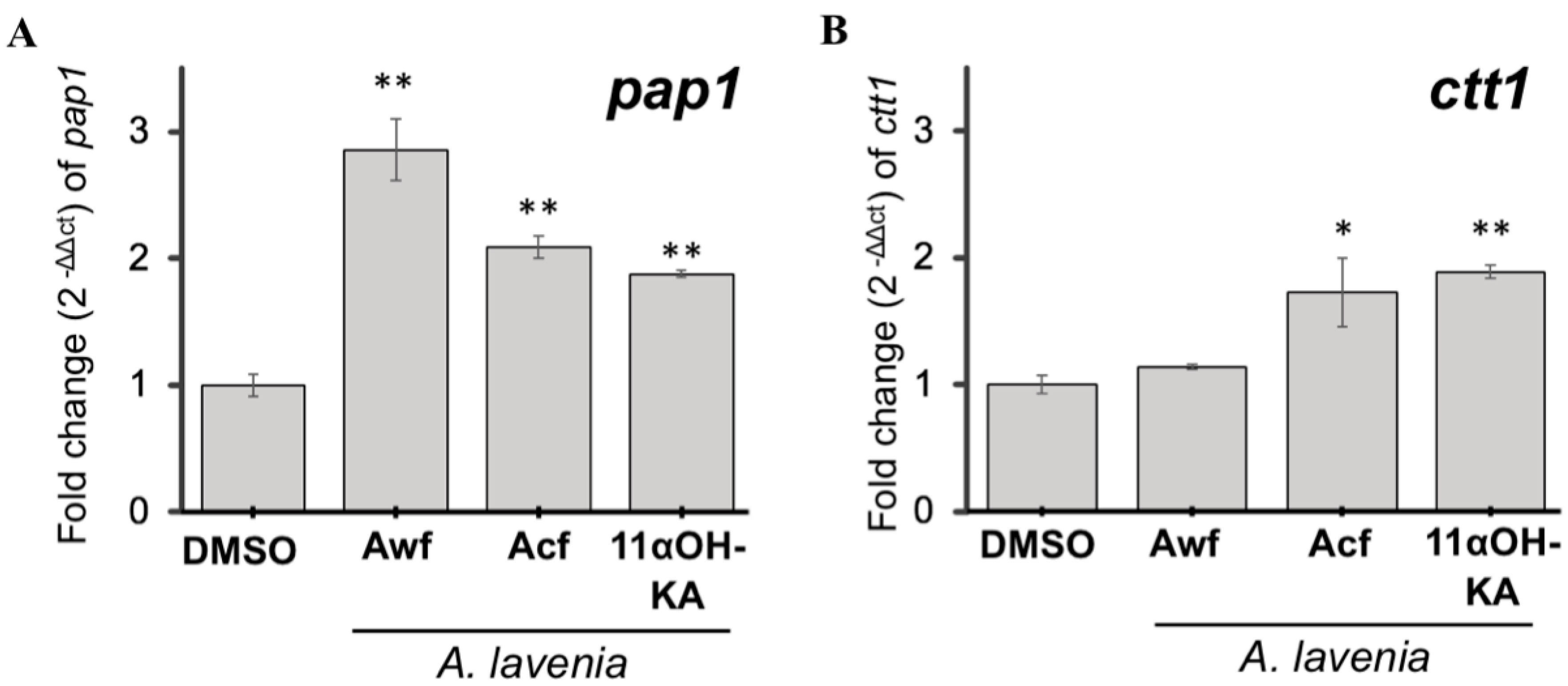 Antioxidants 09 00719 g005 Antioxidants 09 00719 g005