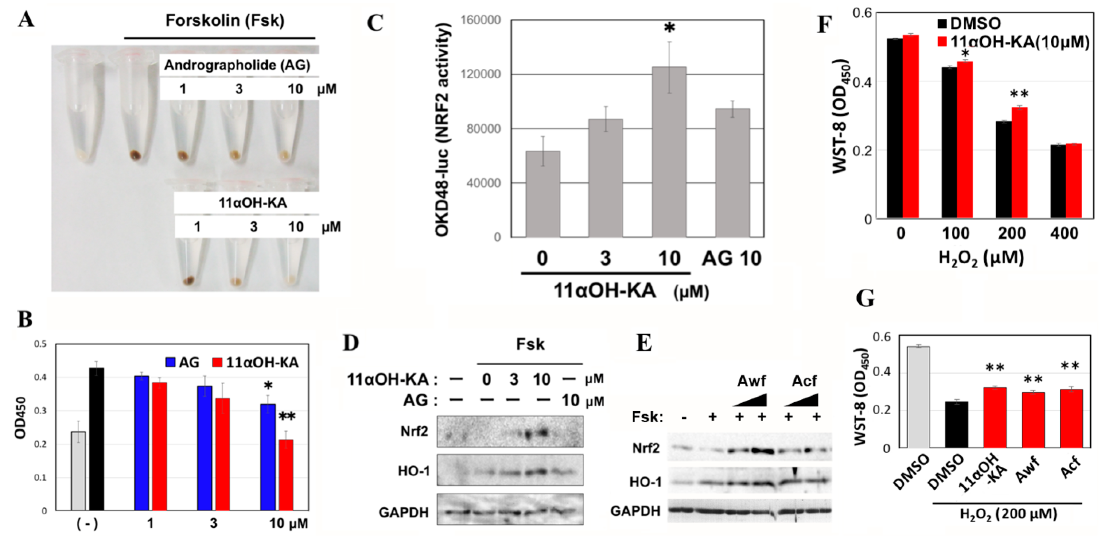 Antioxidants 09 00719 g006 Antioxidants 09 00719 g006