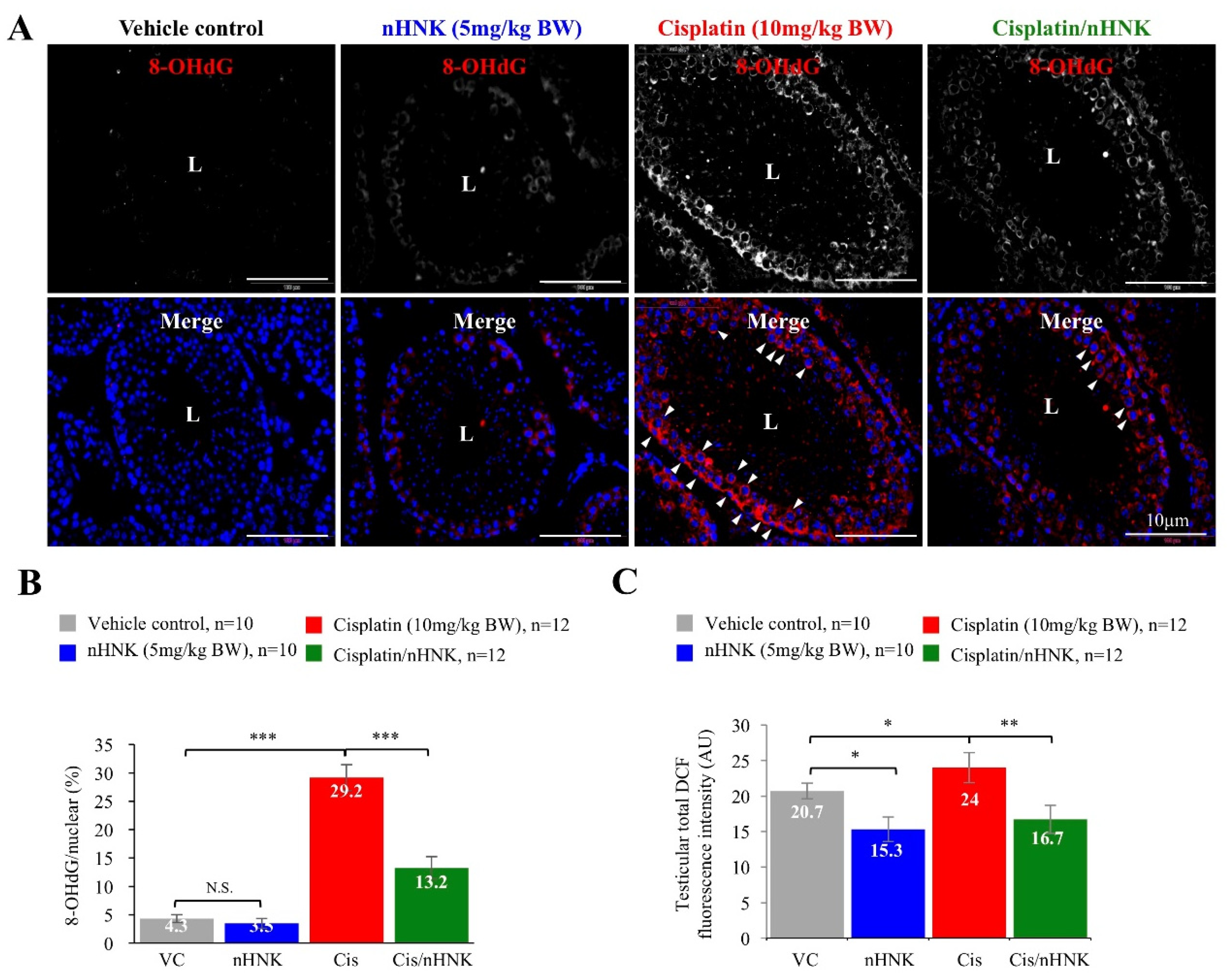 Antioxidants 09 00723 g003