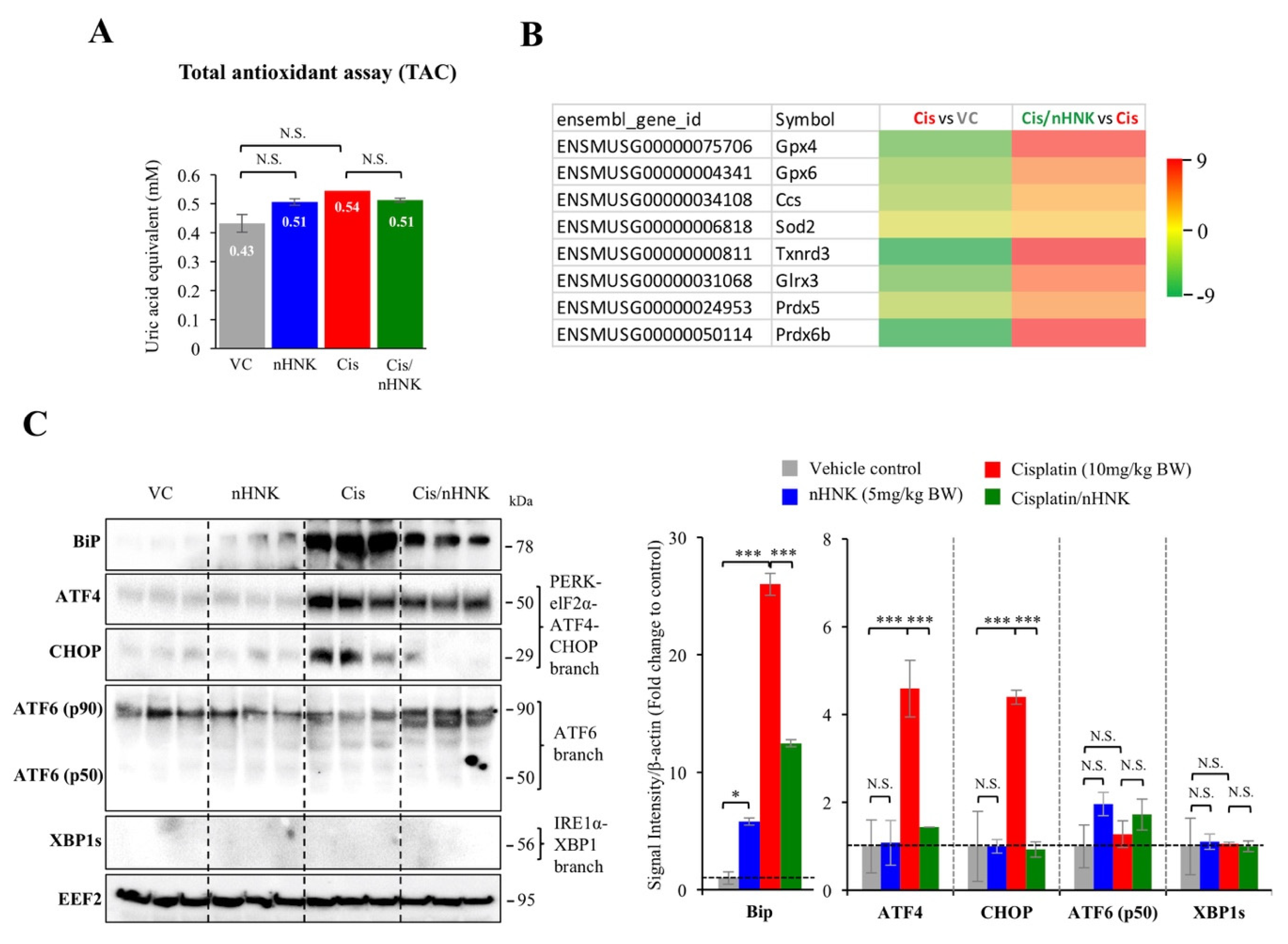 Antioxidants 09 00723 g004