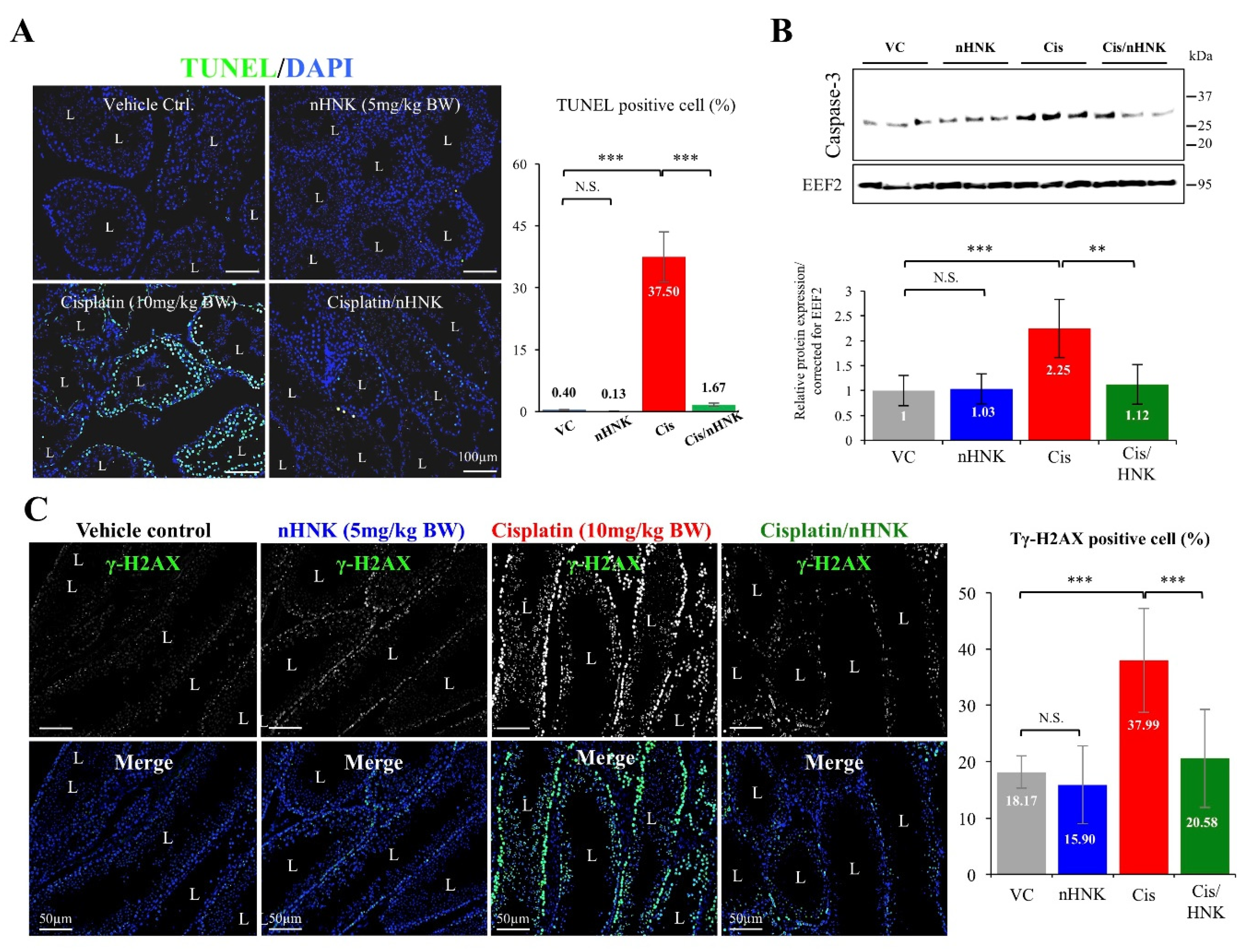 Antioxidants 09 00723 g005