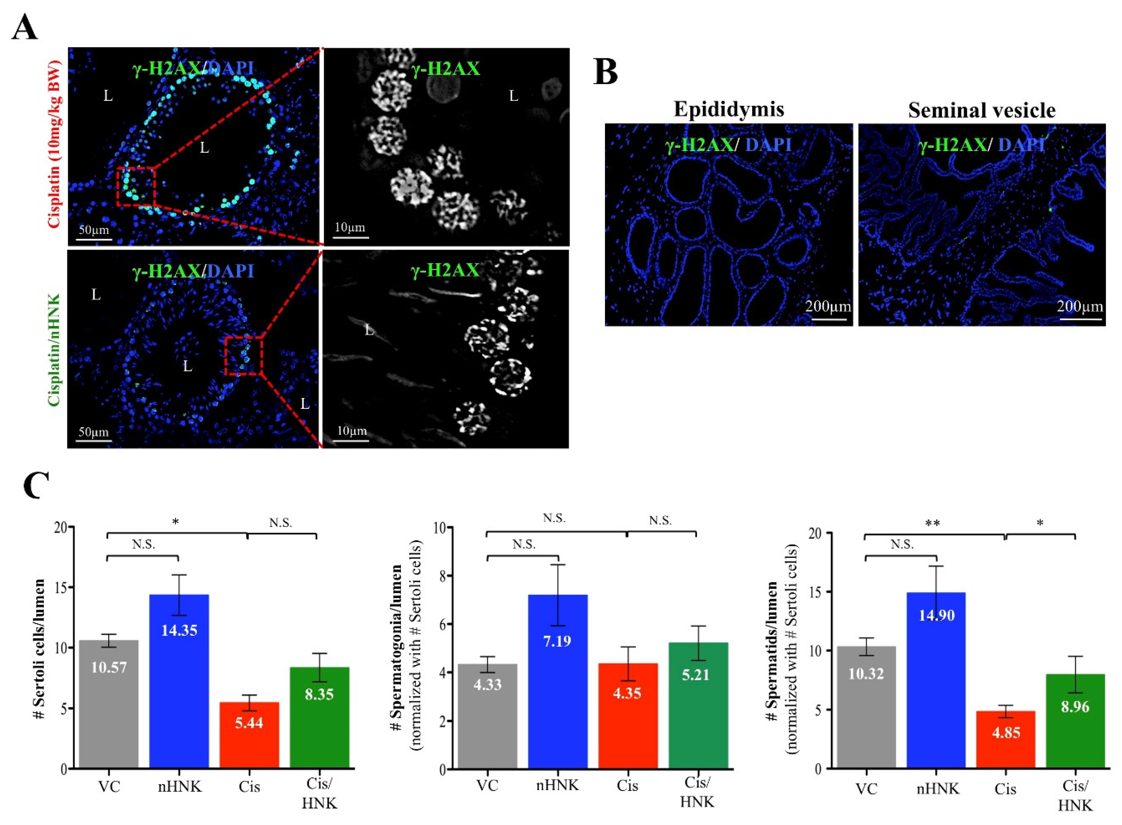 Antioxidants 09 00723 g006