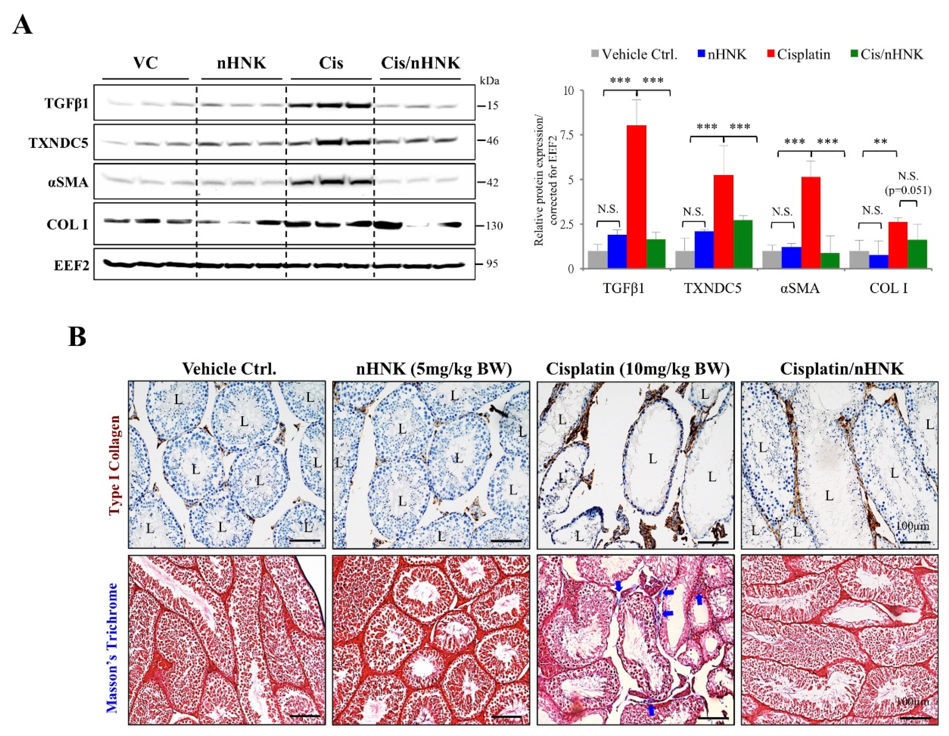 Antioxidants 09 00723 g007