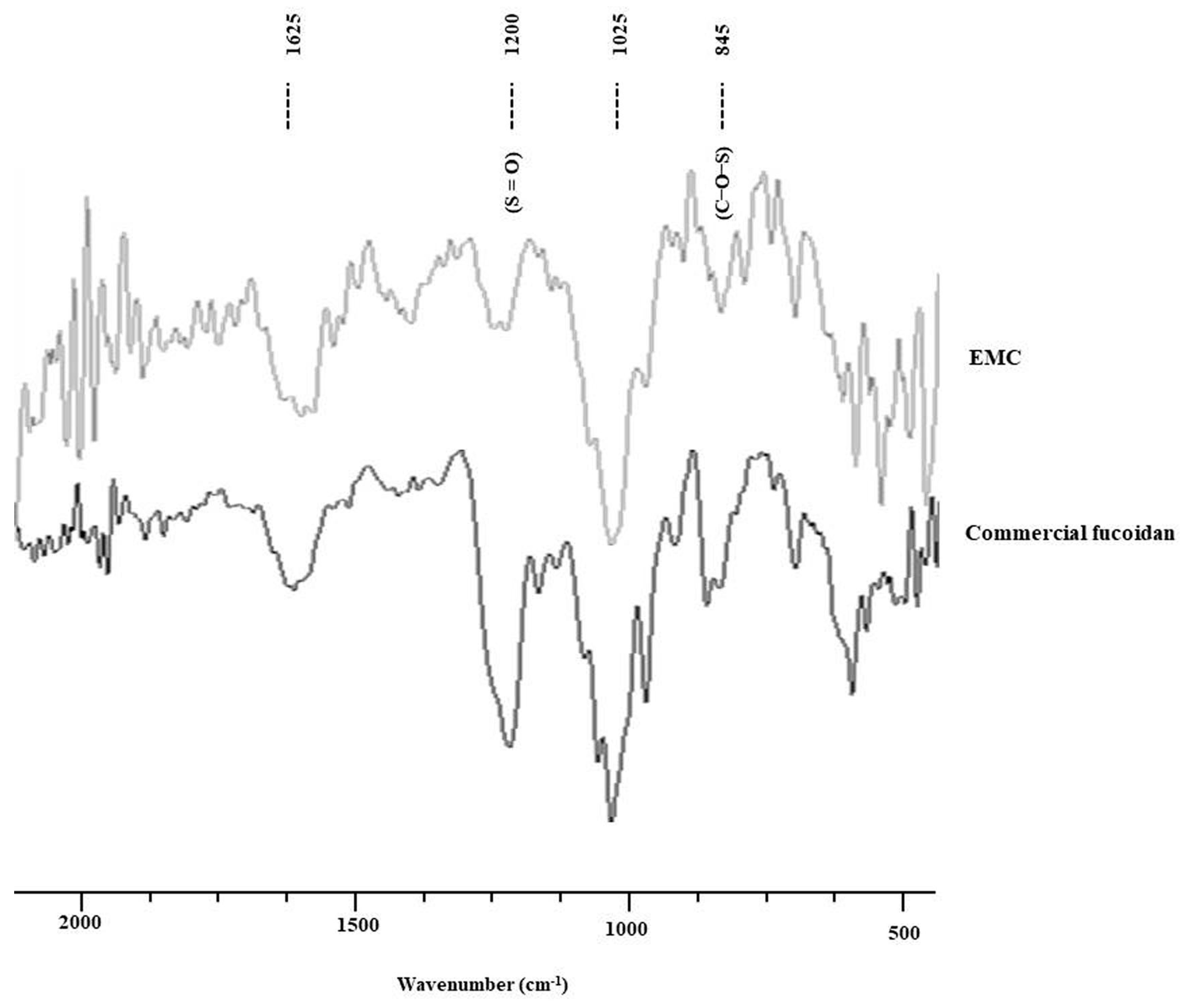 Antioxidants 09 00724 g001