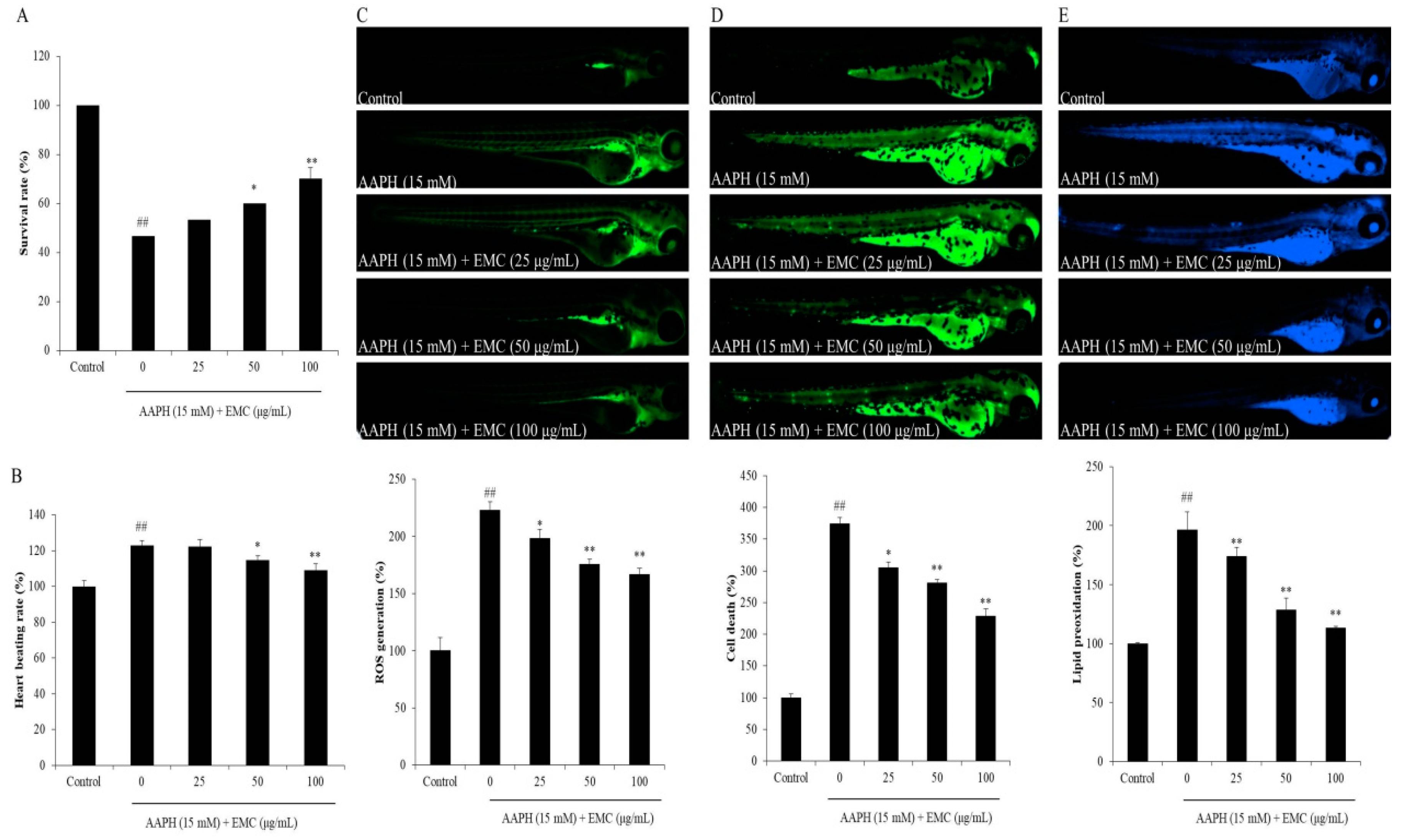 Antioxidants 09 00724 g003