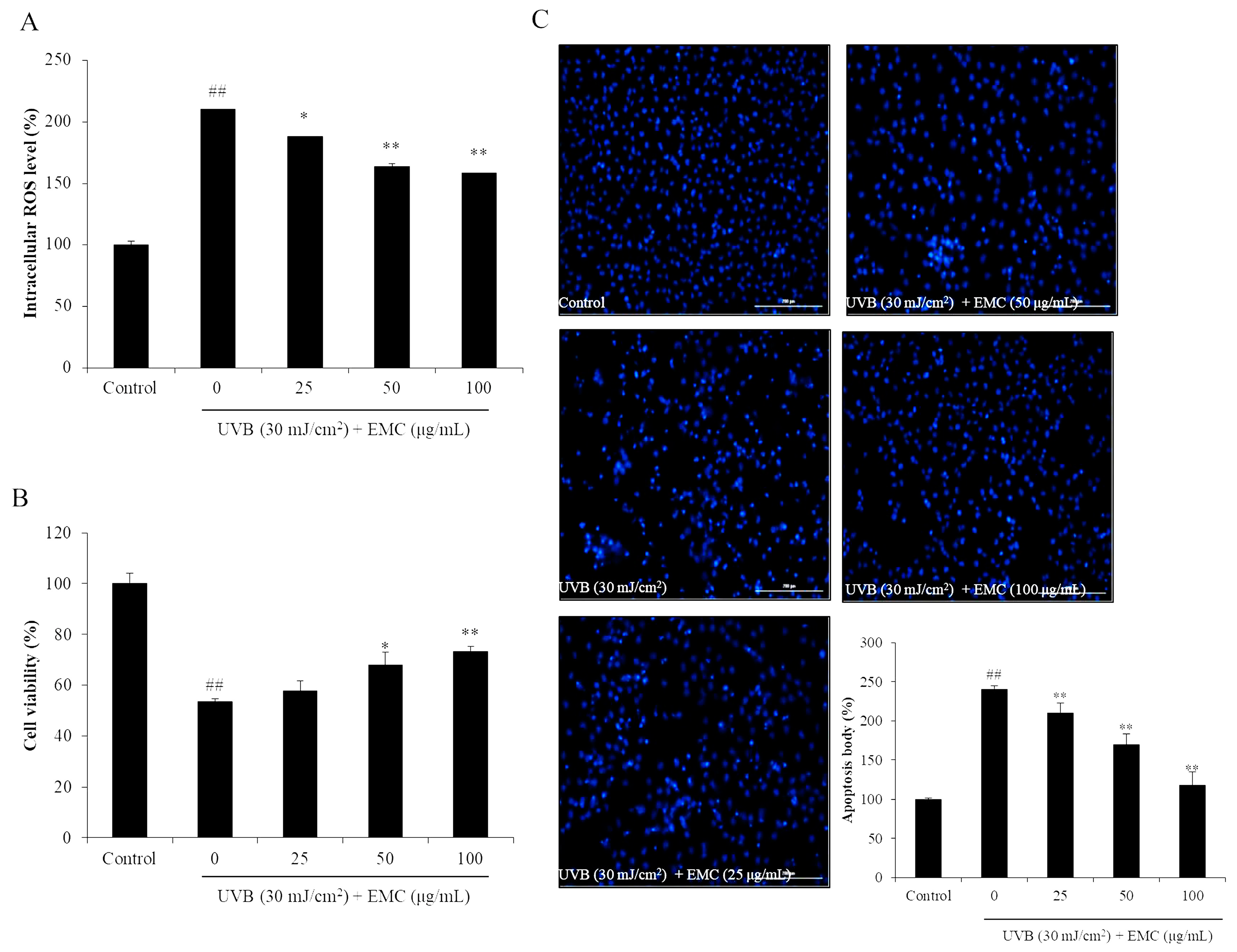 Antioxidants 09 00724 g005