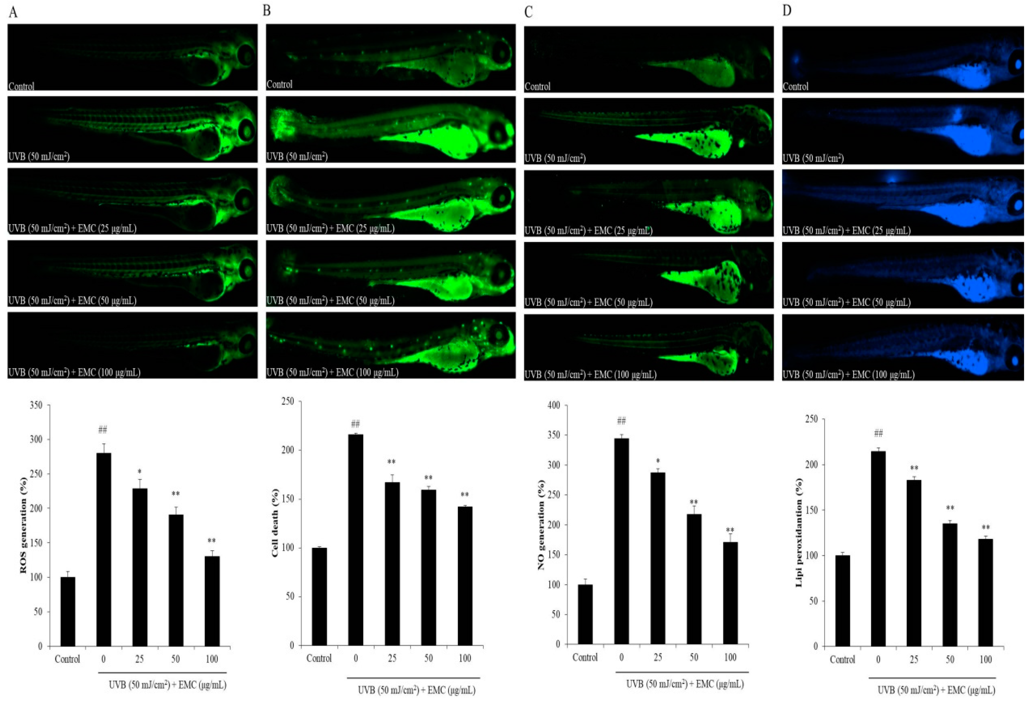 Antioxidants 09 00724 g008