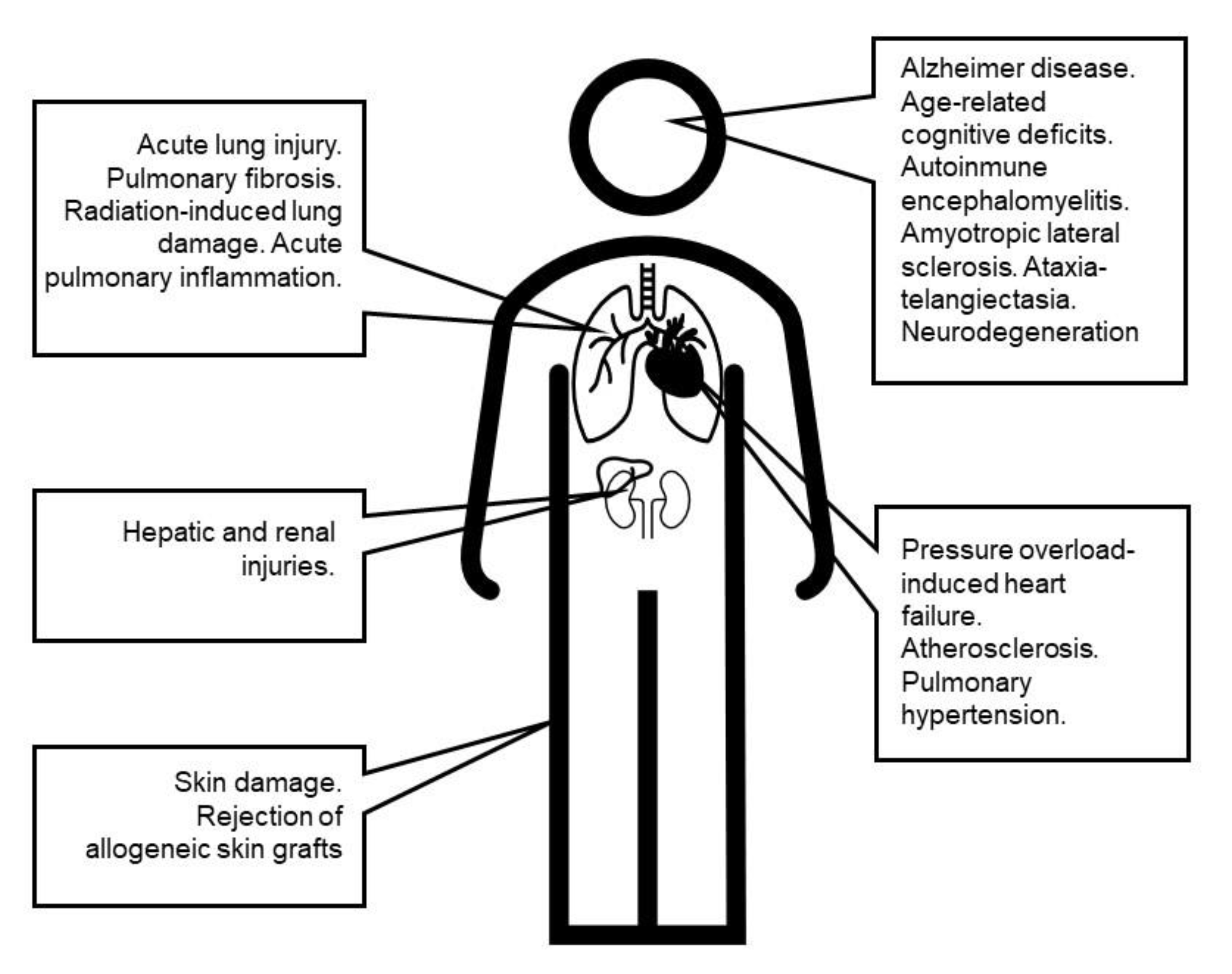 Antioxidants 09 00727 g008 Antioxidants 09 00727 g008