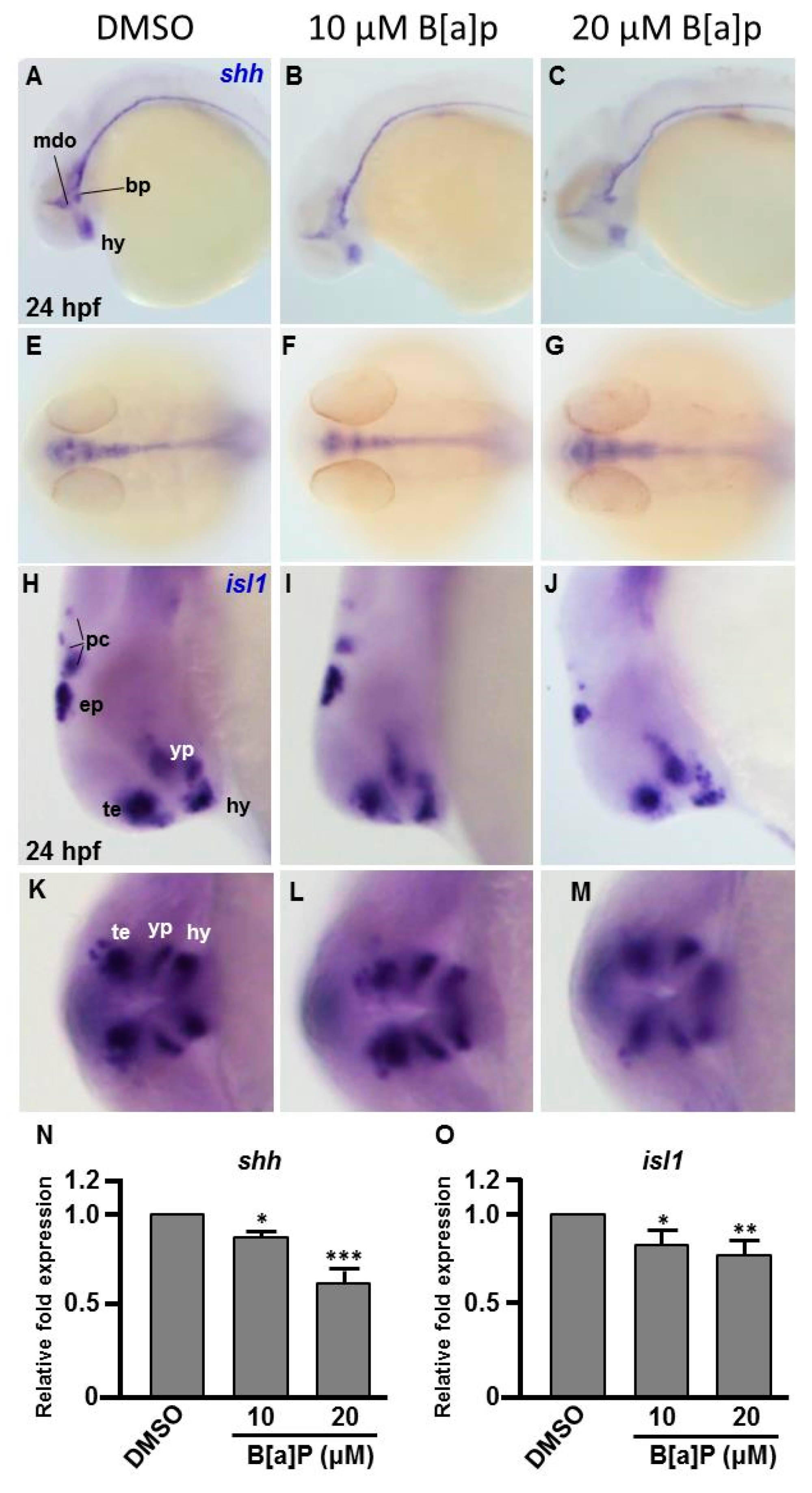 Antioxidants 09 00731 g003 Antioxidants 09 00731 g003