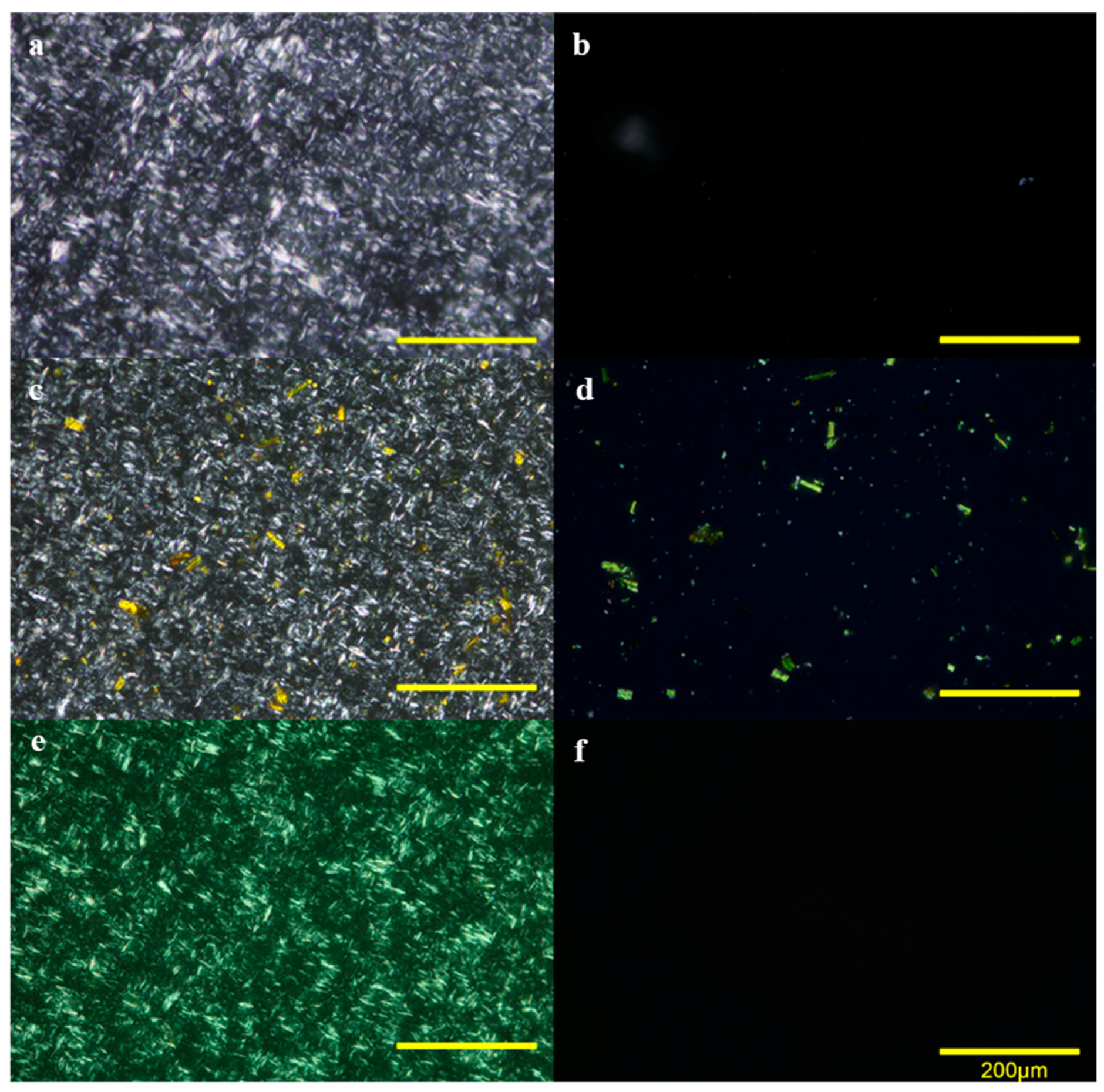 Antioxidants 09 00735 g002 Antioxidants 09 00735 g002
