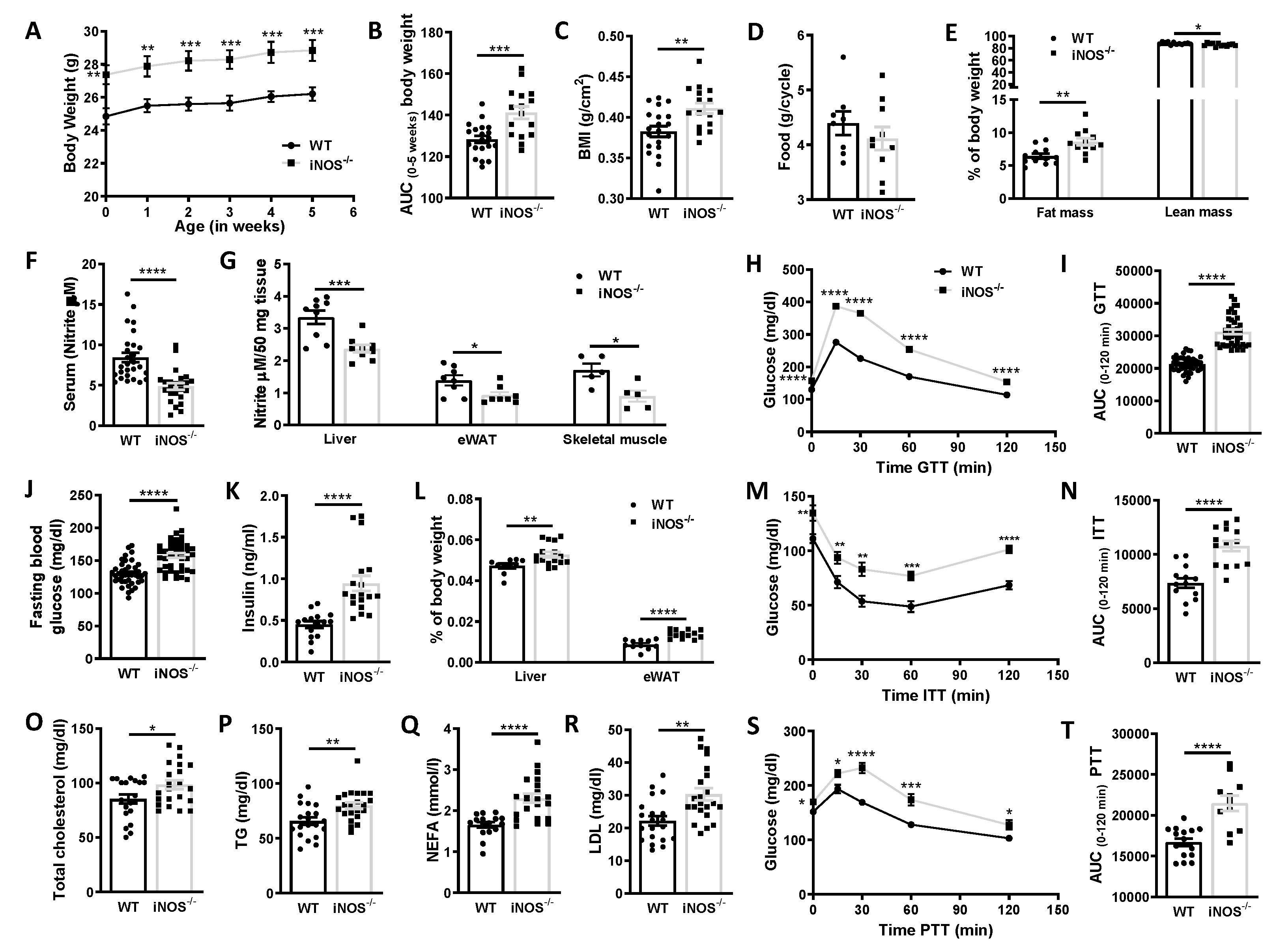 Antioxidants 09 00736 g001 Antioxidants 09 00736 g001