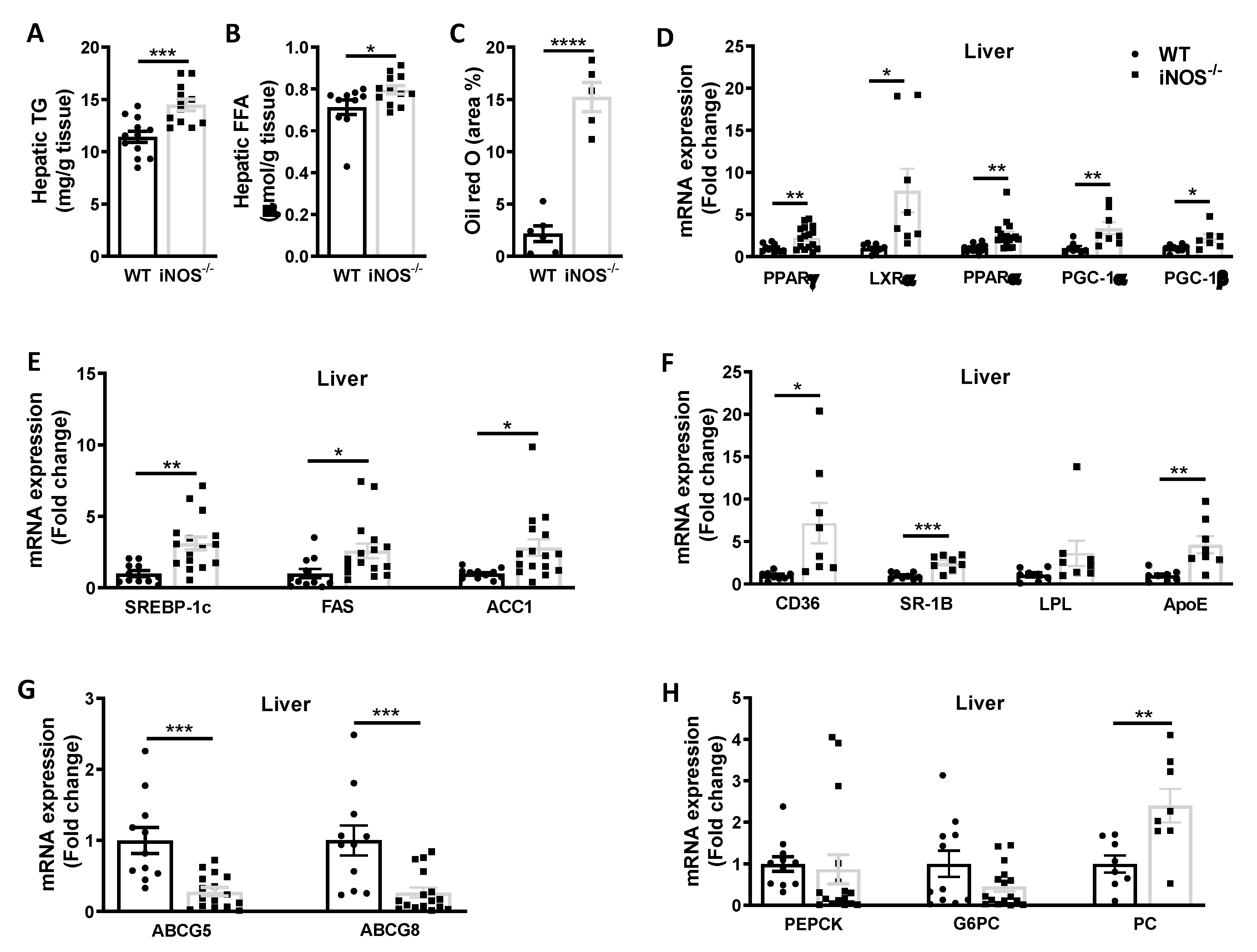 Antioxidants 09 00736 g002 Antioxidants 09 00736 g002