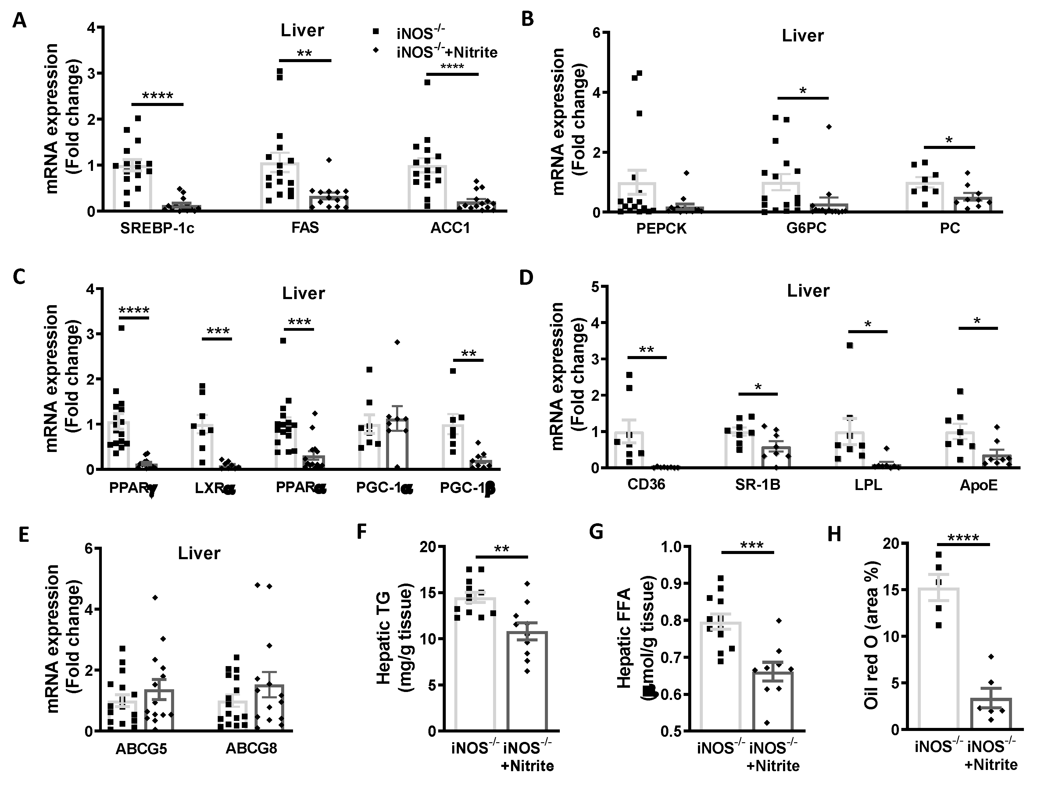 Antioxidants 09 00736 g004 Antioxidants 09 00736 g004