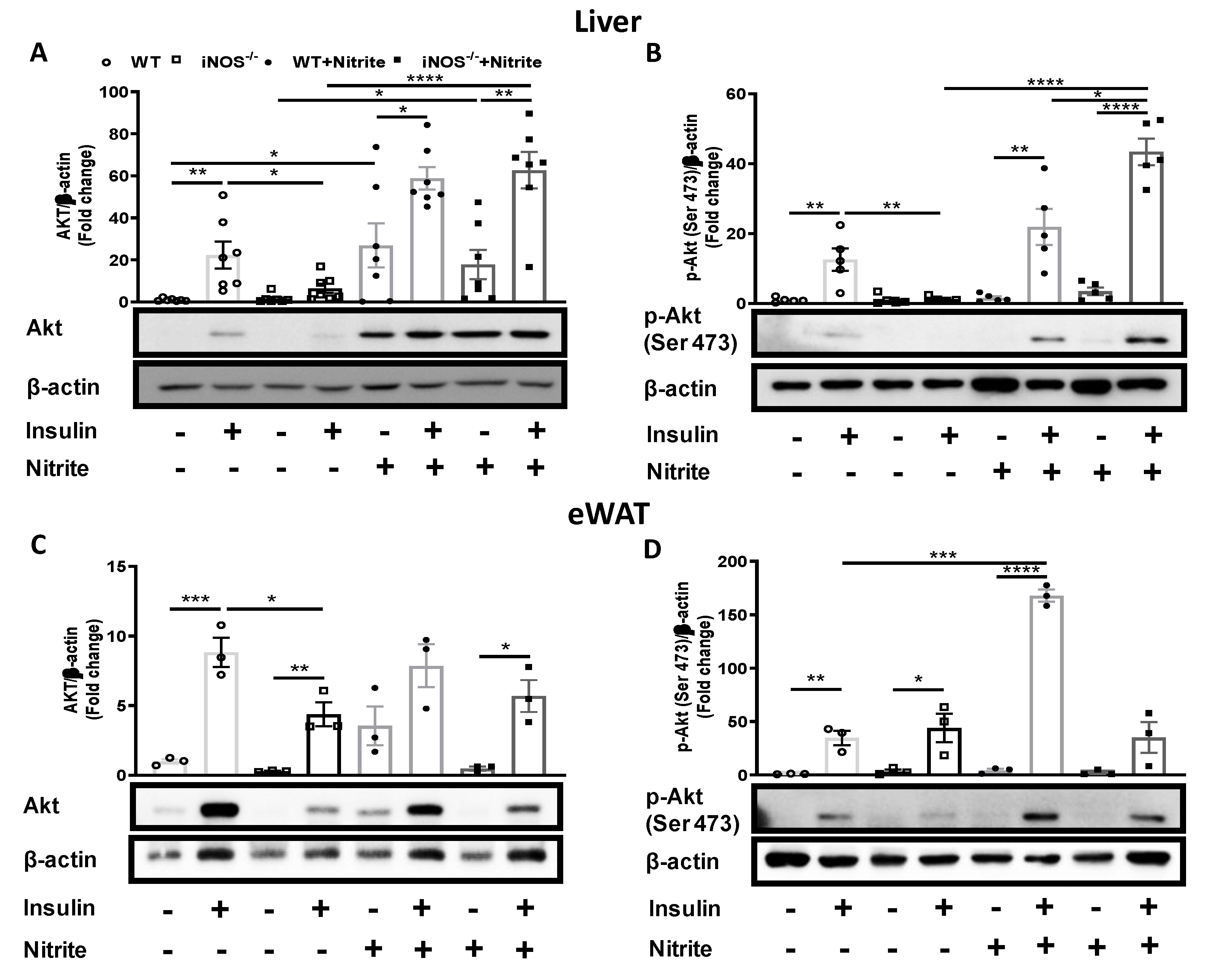 Antioxidants 09 00736 g006 Antioxidants 09 00736 g006