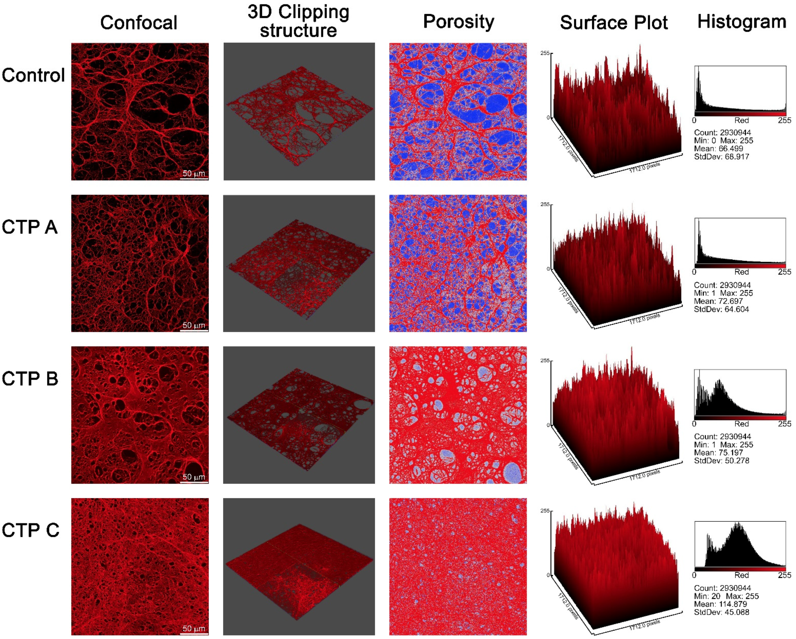 Antioxidants 09 00737 g005 Antioxidants 09 00737 g005