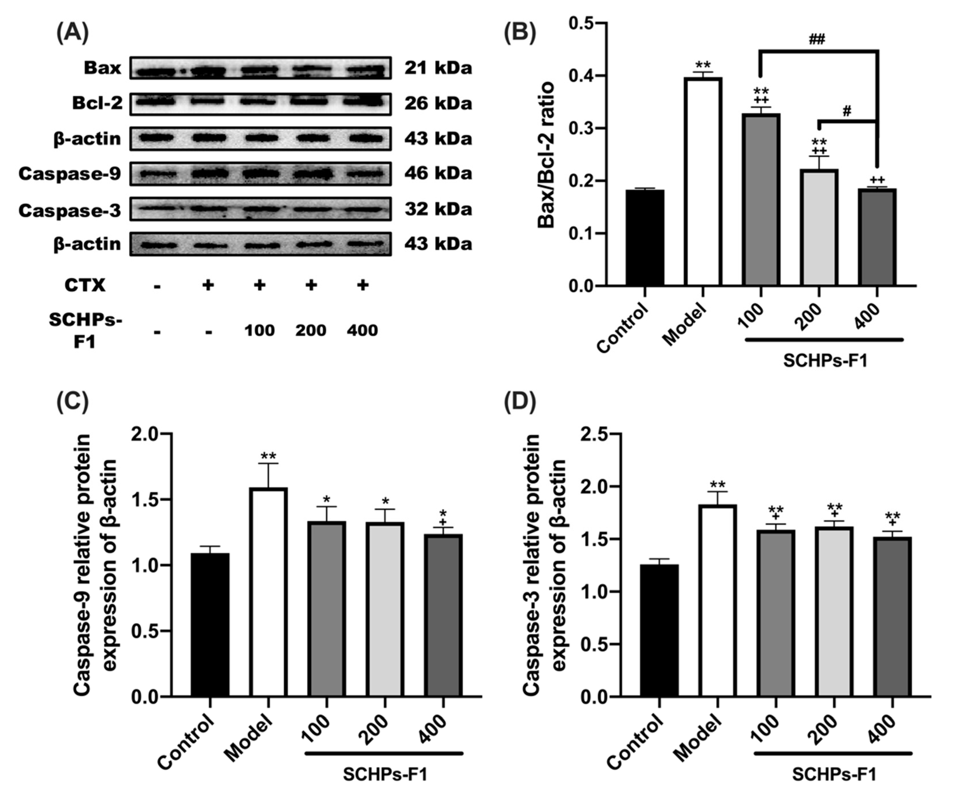 Antioxidants 09 00745 g005