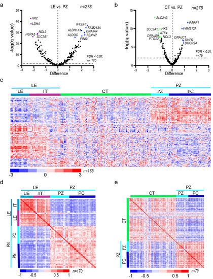 Oxidative Stress—Part of the Solution or Part of the Problem in