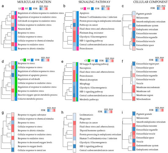Oxidative Stress—Part of the Solution or Part of the Problem in