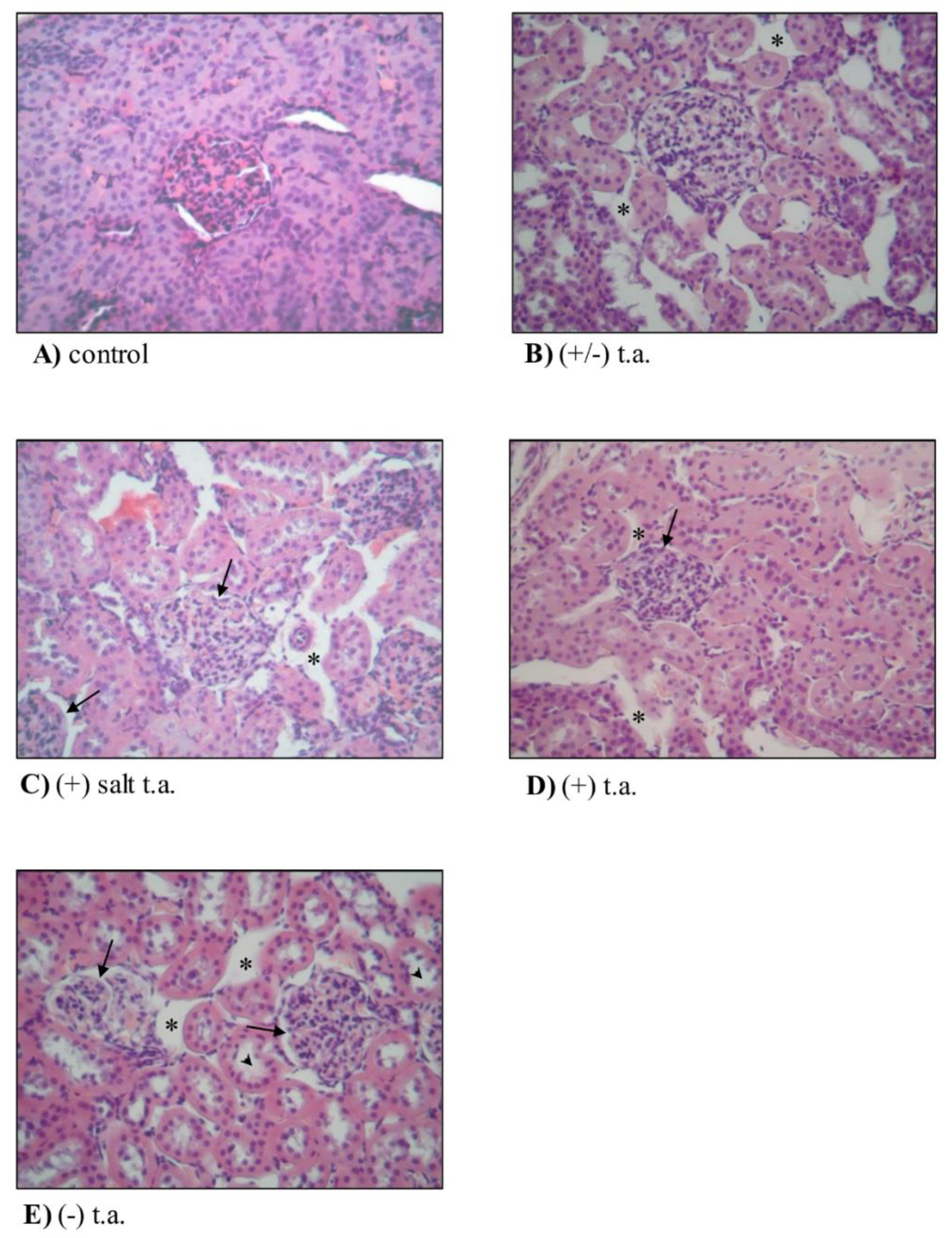 Antioxidants 09 00749 g006