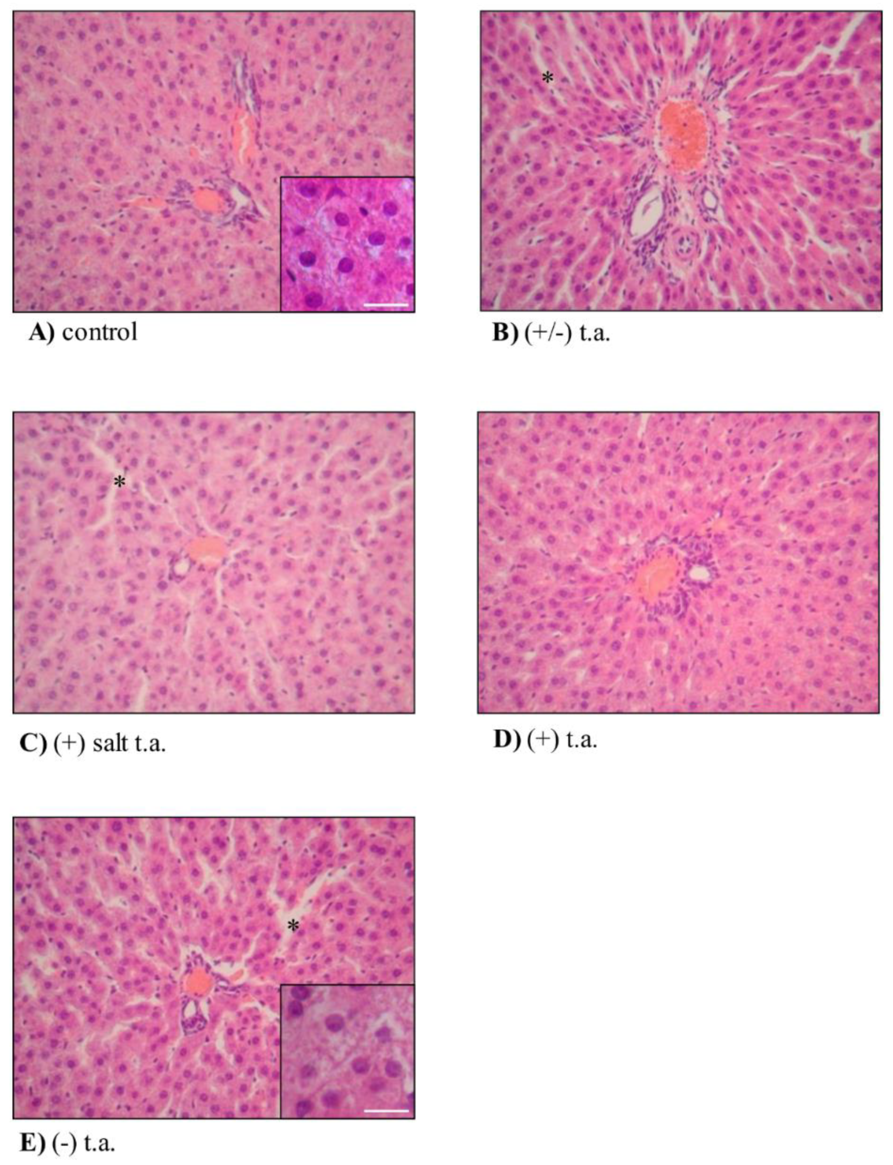 Antioxidants 09 00749 g007