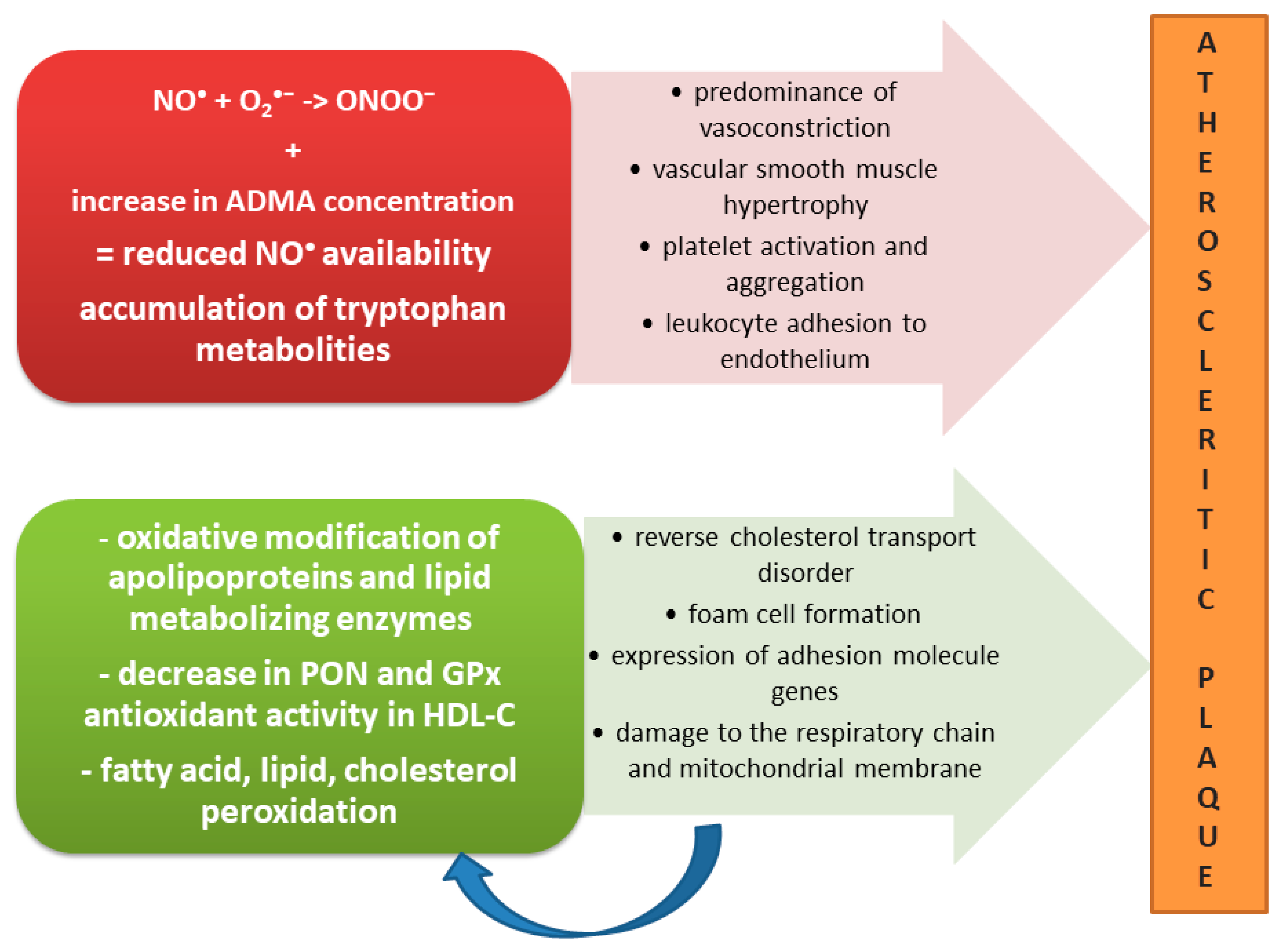 Antioxidants Free FullText Chronic Kidney Disease as Oxidative
