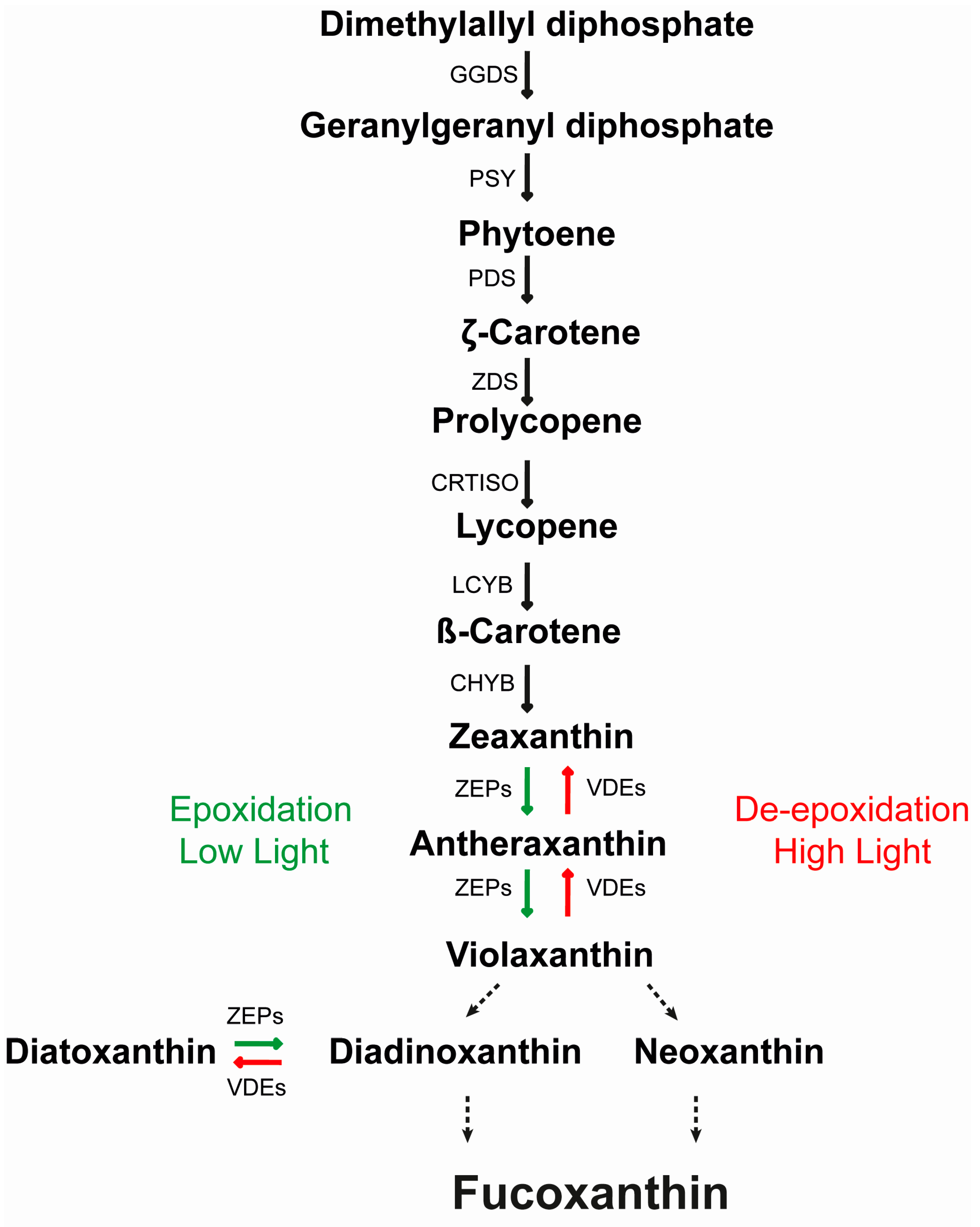 Antioxidants 09 00757 g001