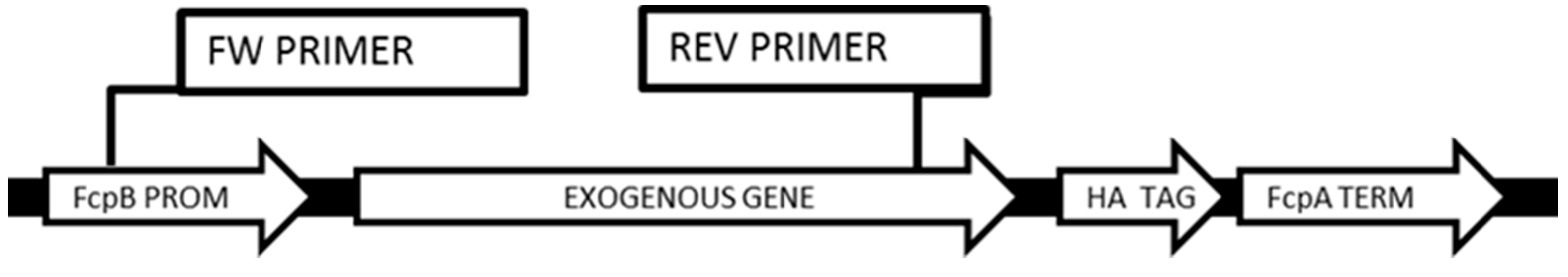 Antioxidants 09 00757 g002