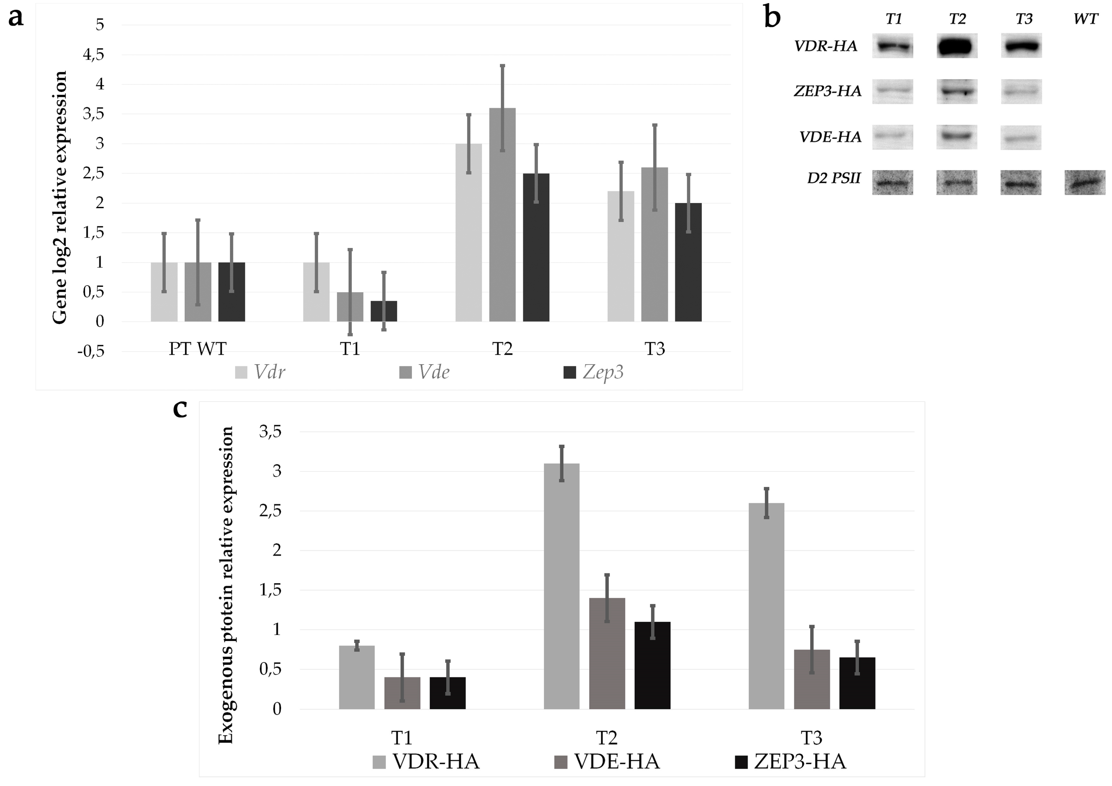 Antioxidants 09 00757 g004