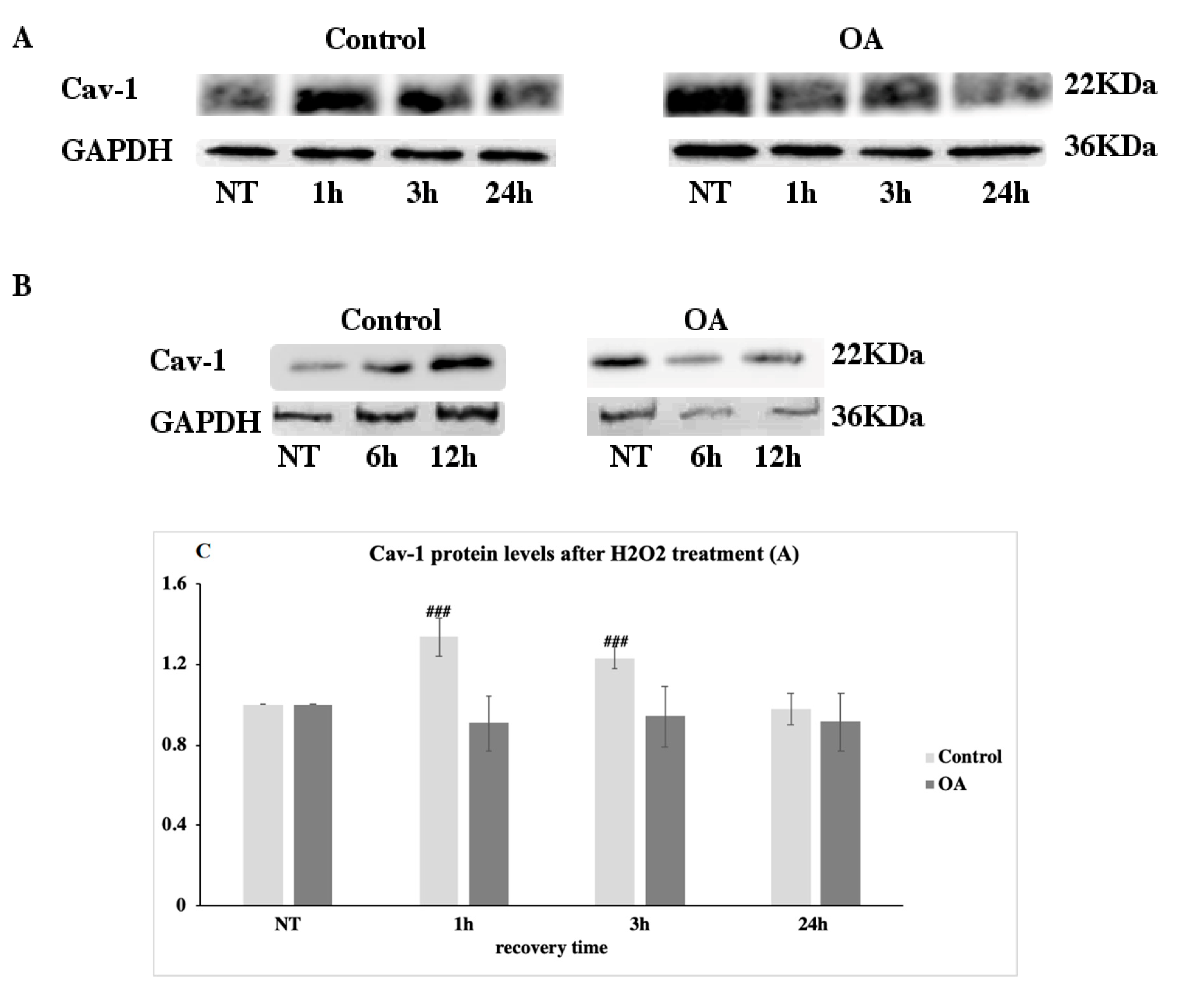 Antioxidants 09 00766 g002a