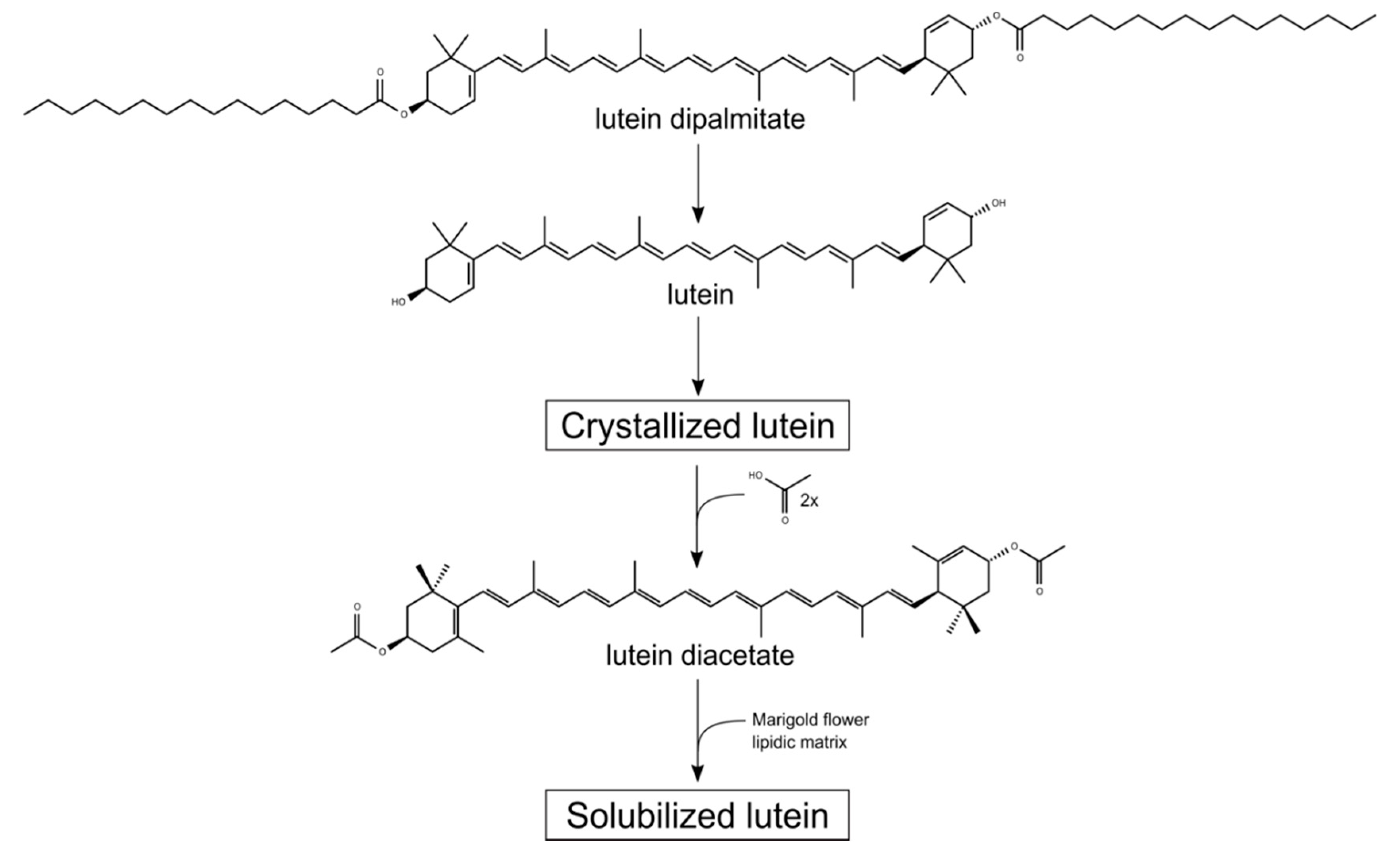 Antioxidants 09 00767 g001