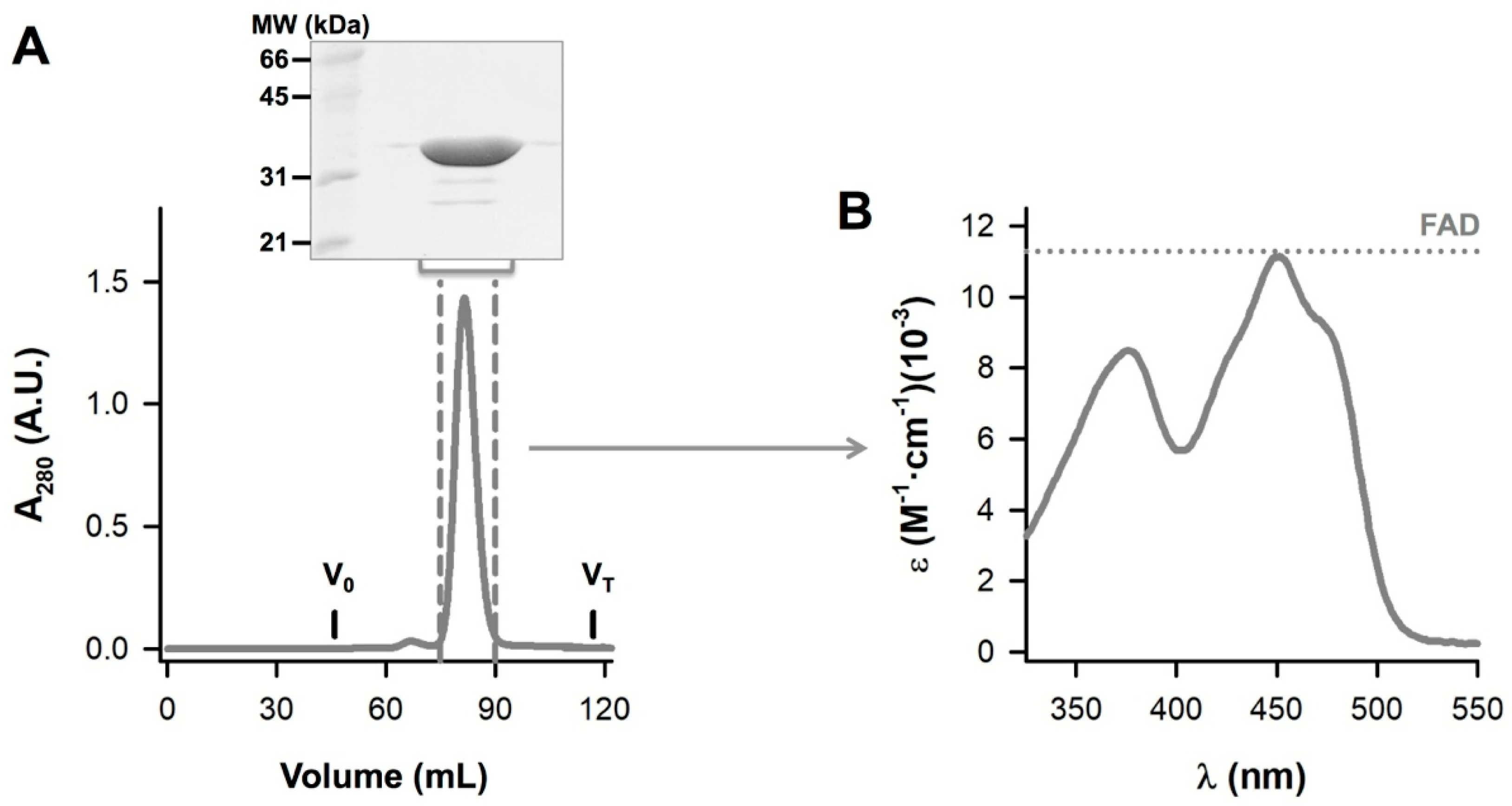 Antioxidants 09 00772 g002 Antioxidants 09 00772 g002