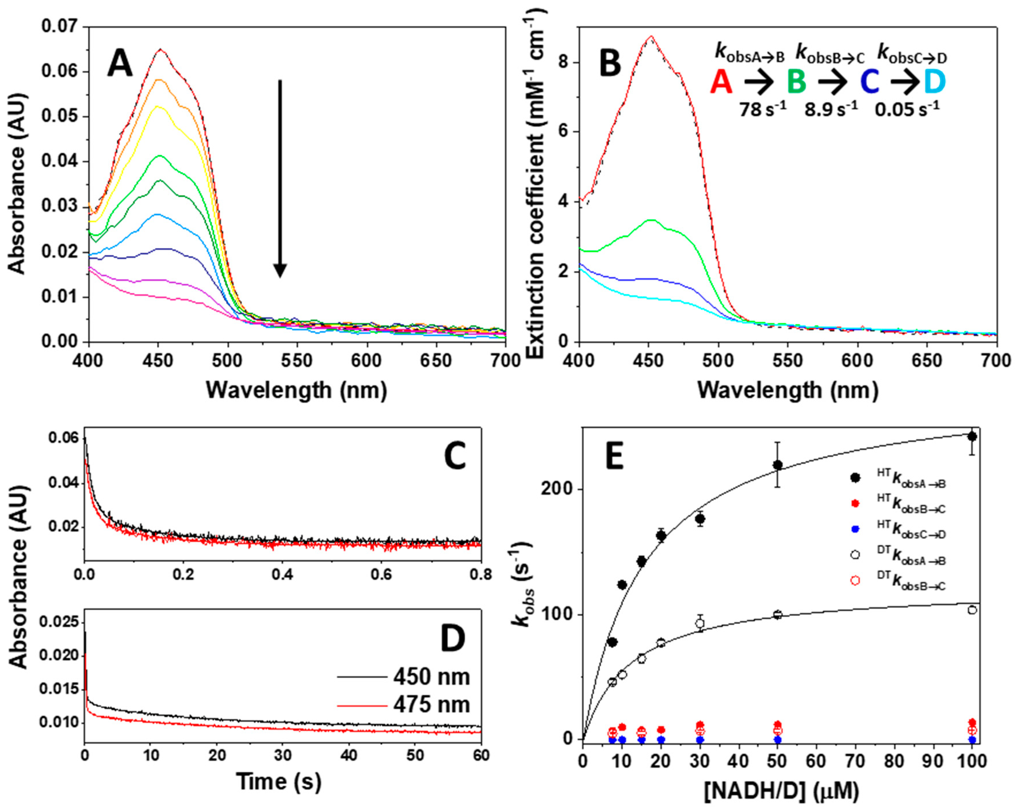 Antioxidants 09 00772 g004 Antioxidants 09 00772 g004