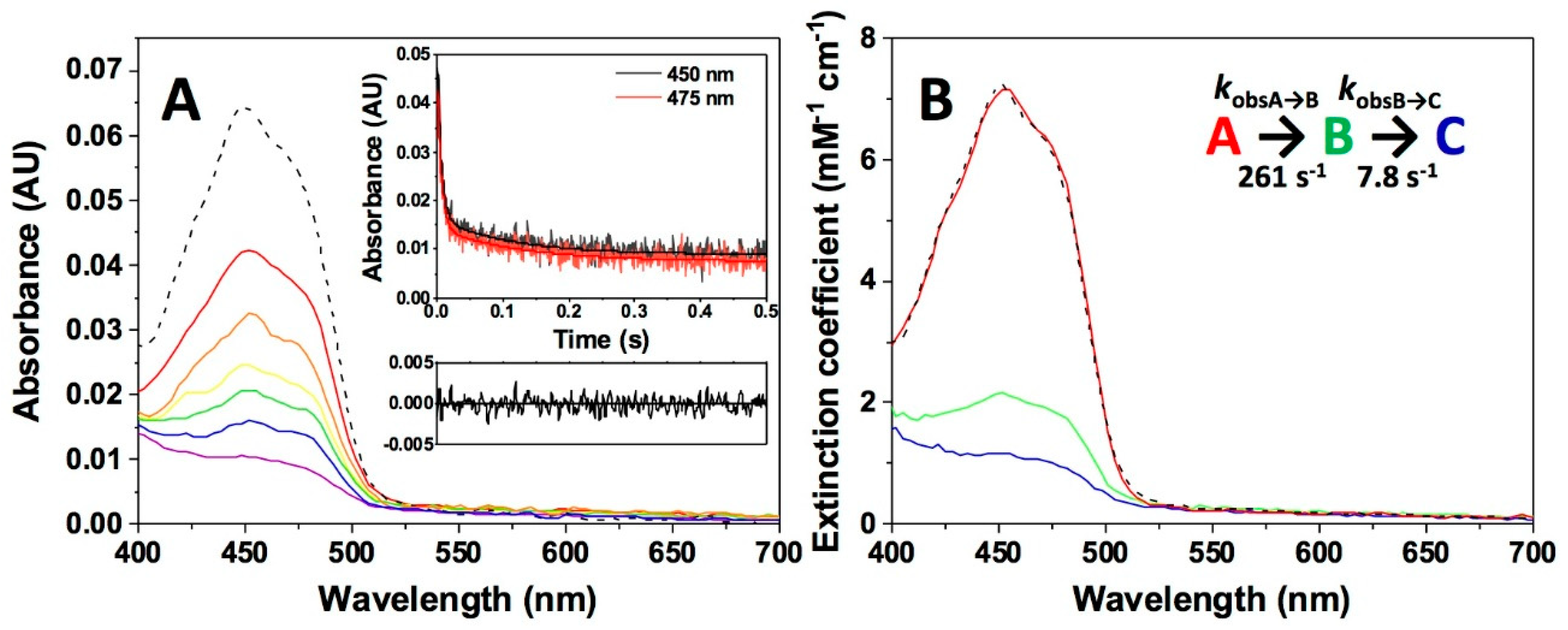 Antioxidants 09 00772 g005 Antioxidants 09 00772 g005