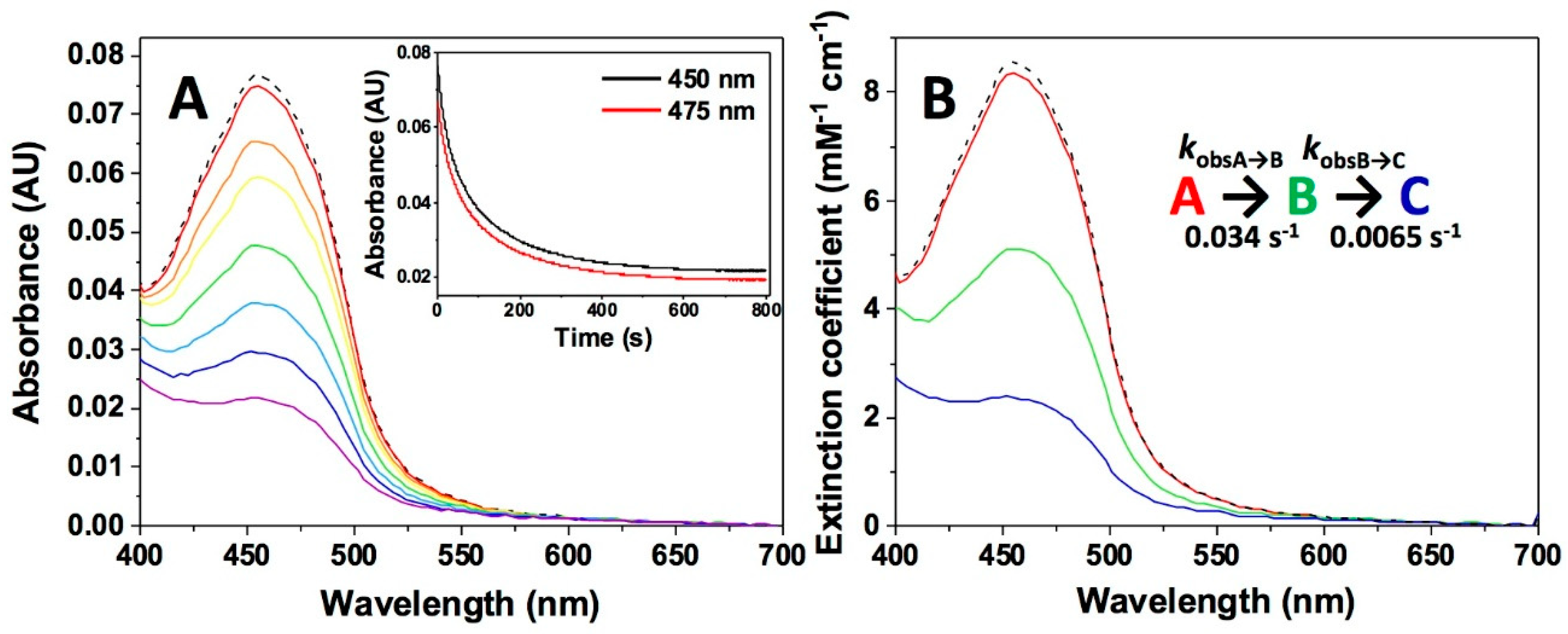 Antioxidants 09 00772 g006 Antioxidants 09 00772 g006
