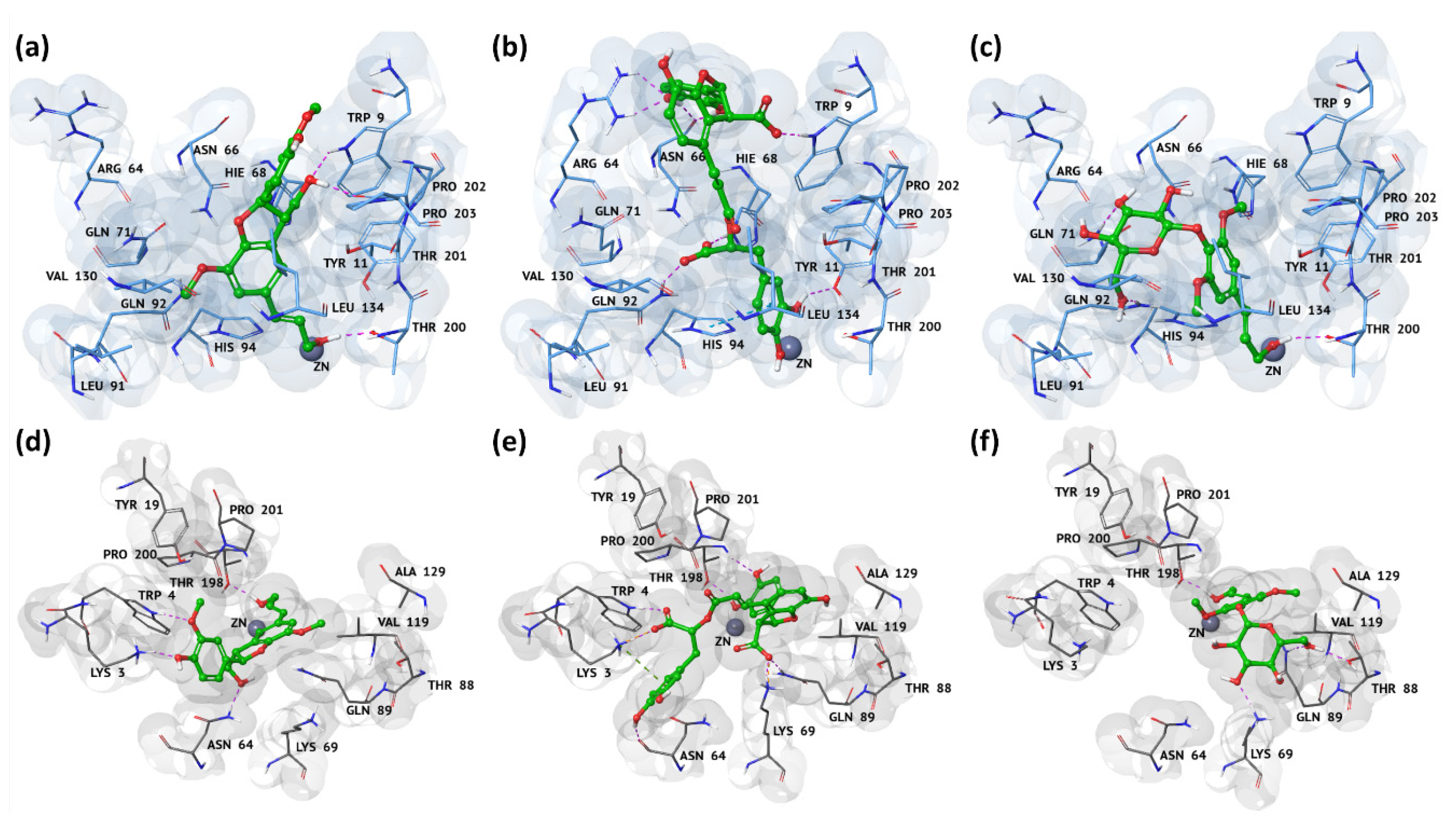 Antioxidants 09 00775 g002 Antioxidants 09 00775 g002