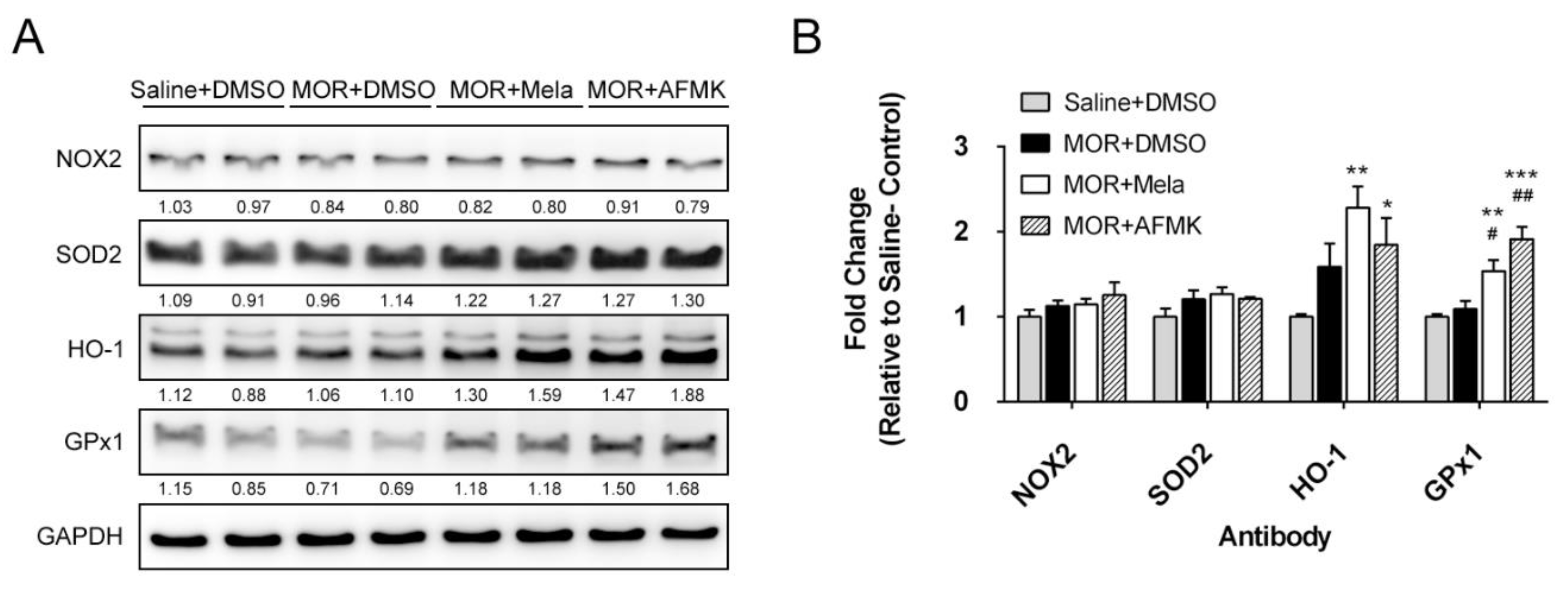 Antioxidants 09 00780 g004