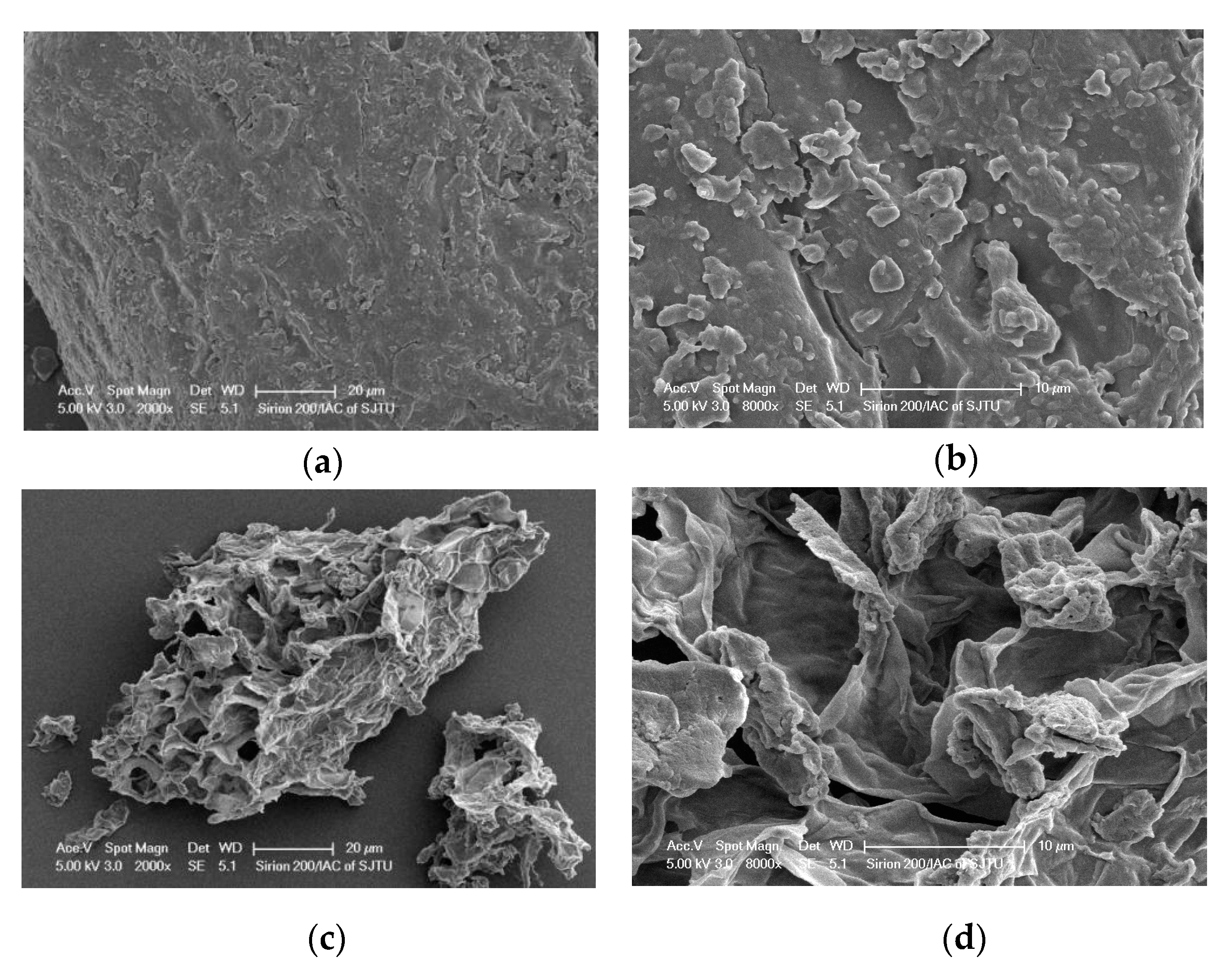 Antioxidants 09 00785 g005 Antioxidants 09 00785 g005
