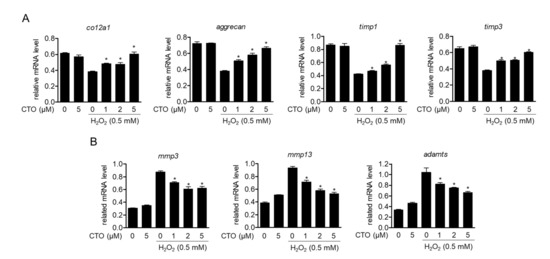 Antioxidants Free Full Text Cudratricusxanthone O Inhibits H2o2 Induced Cell Damage By Activating Nrf2 Ho 1 Pathway In Human Chondrocytes Html