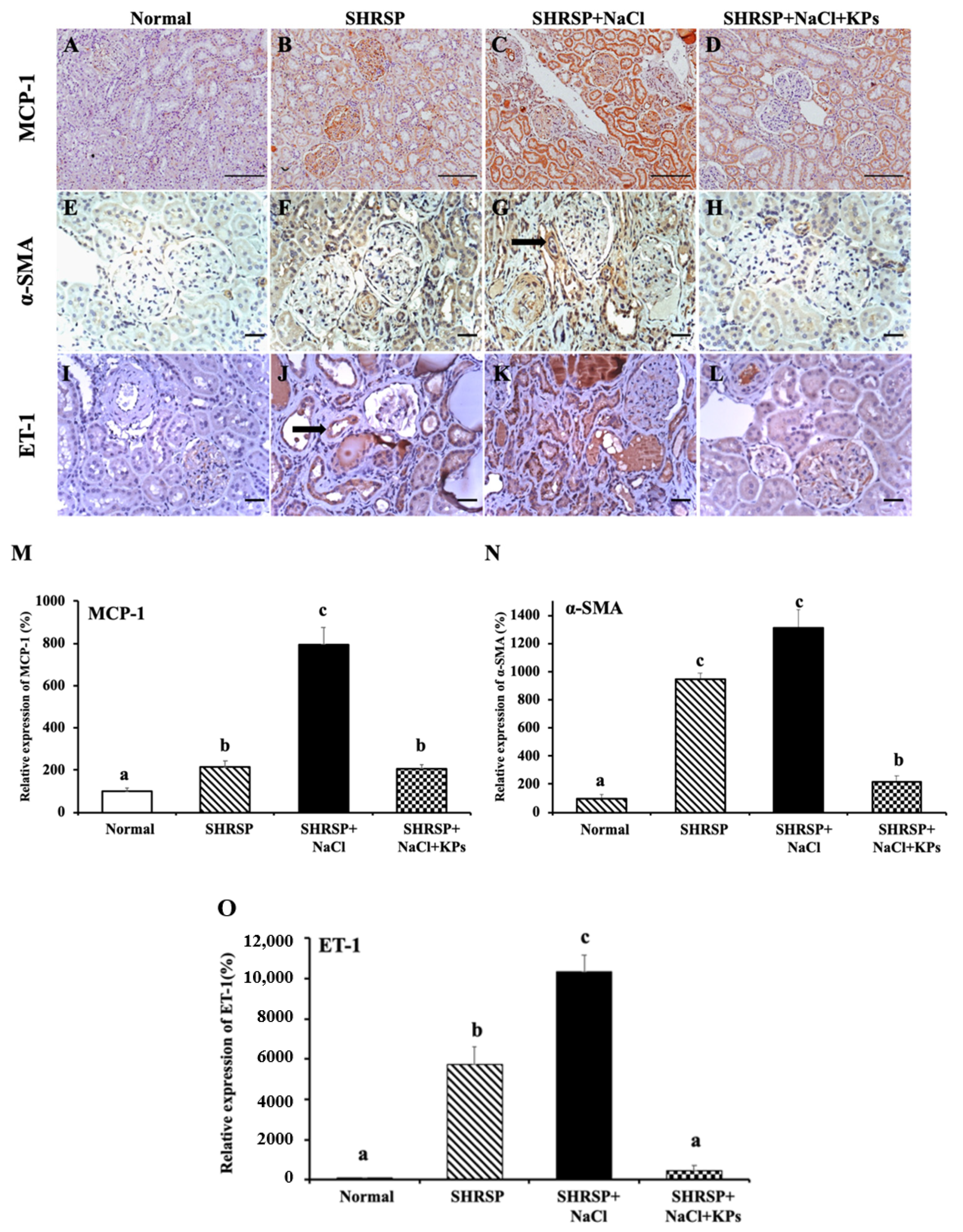 Antioxidants 09 00790 g004