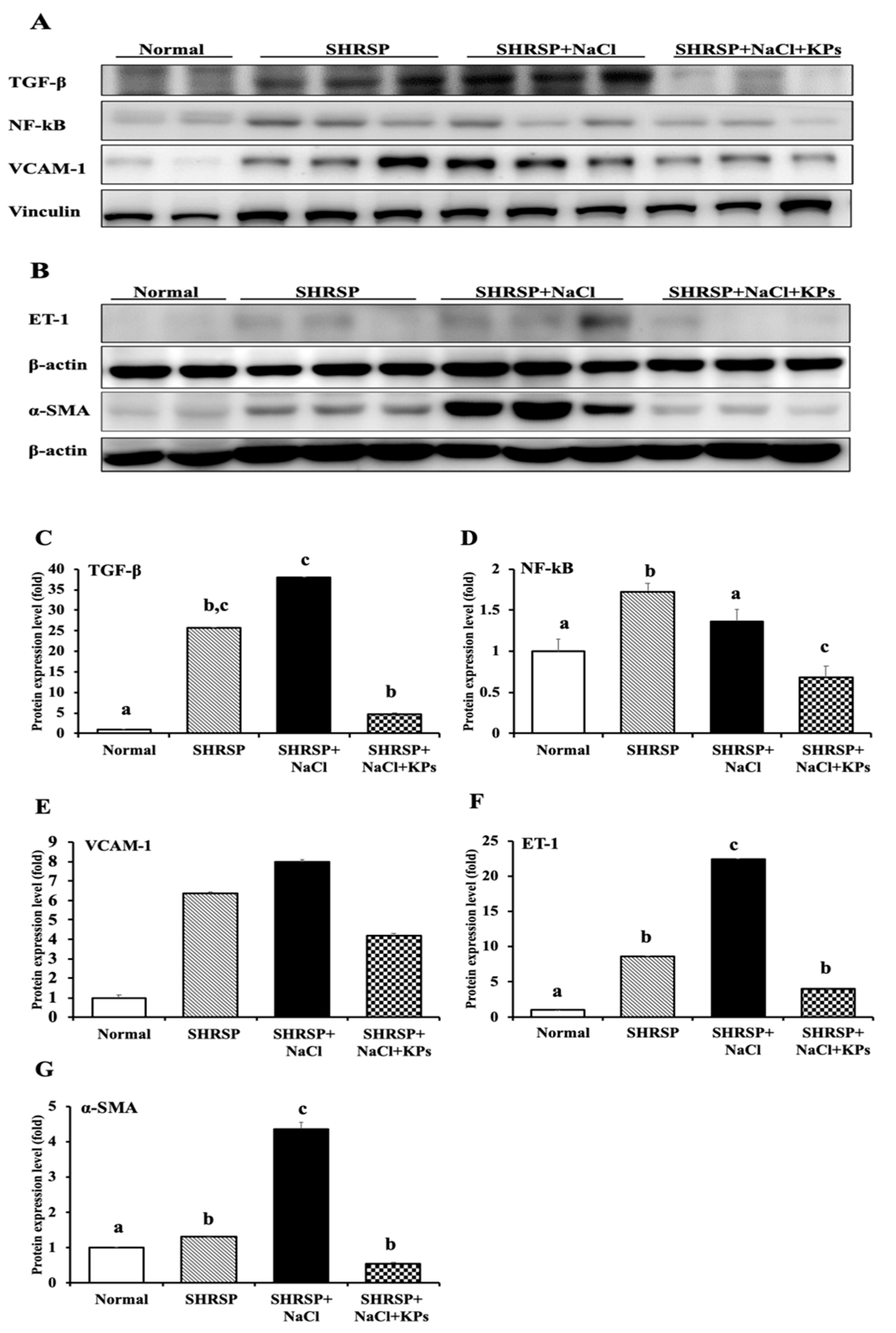 Antioxidants 09 00790 g006