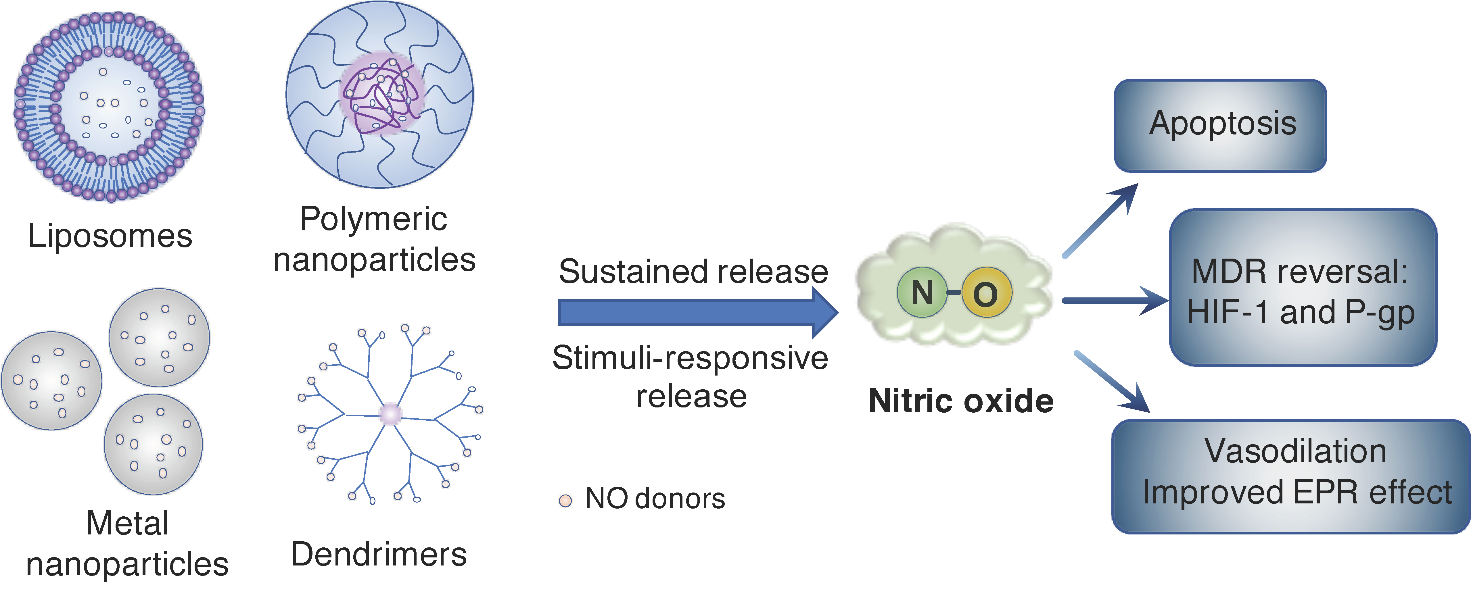 Antioxidants 09 00791 g003