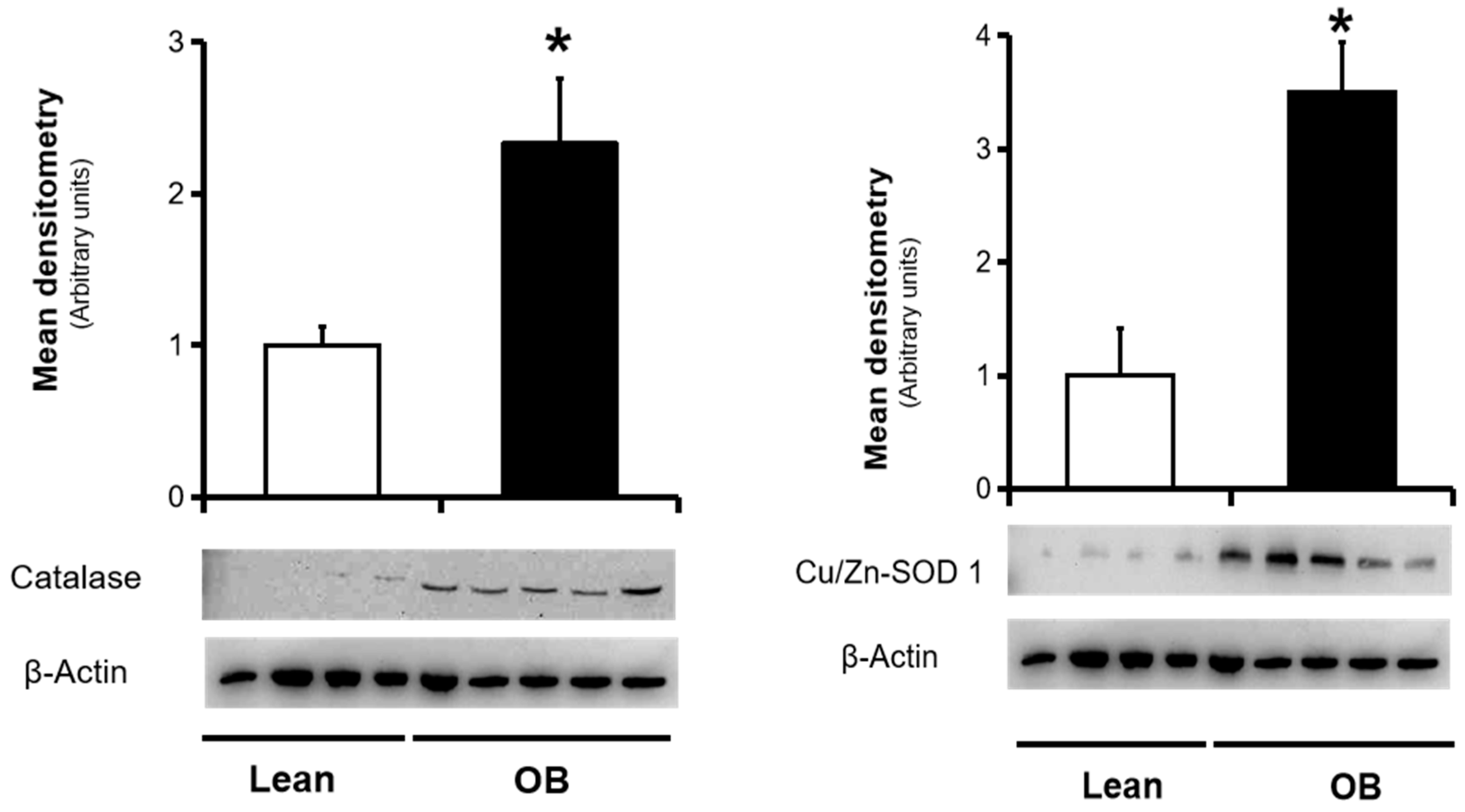 Antioxidants 09 00794 g001