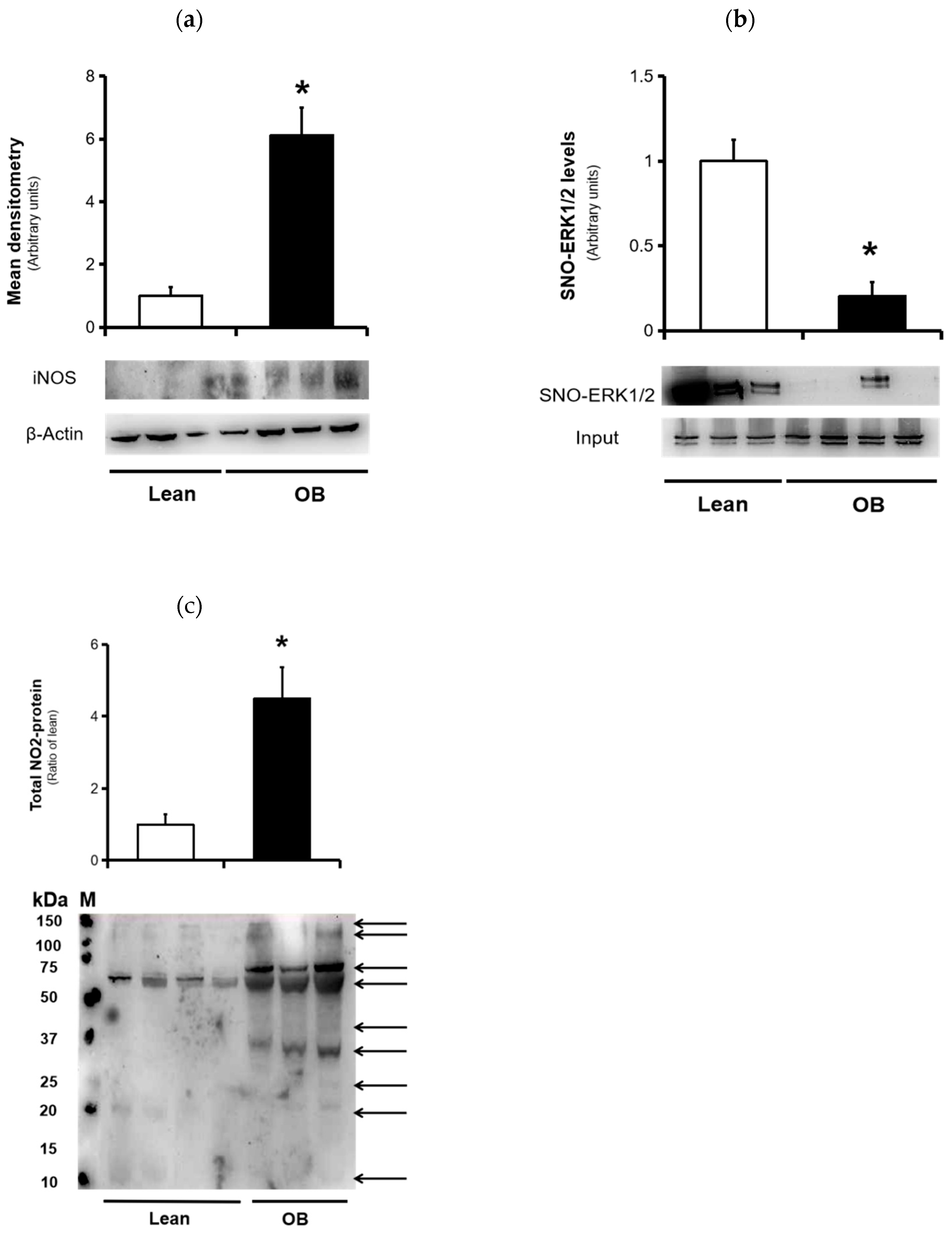 Antioxidants 09 00794 g004